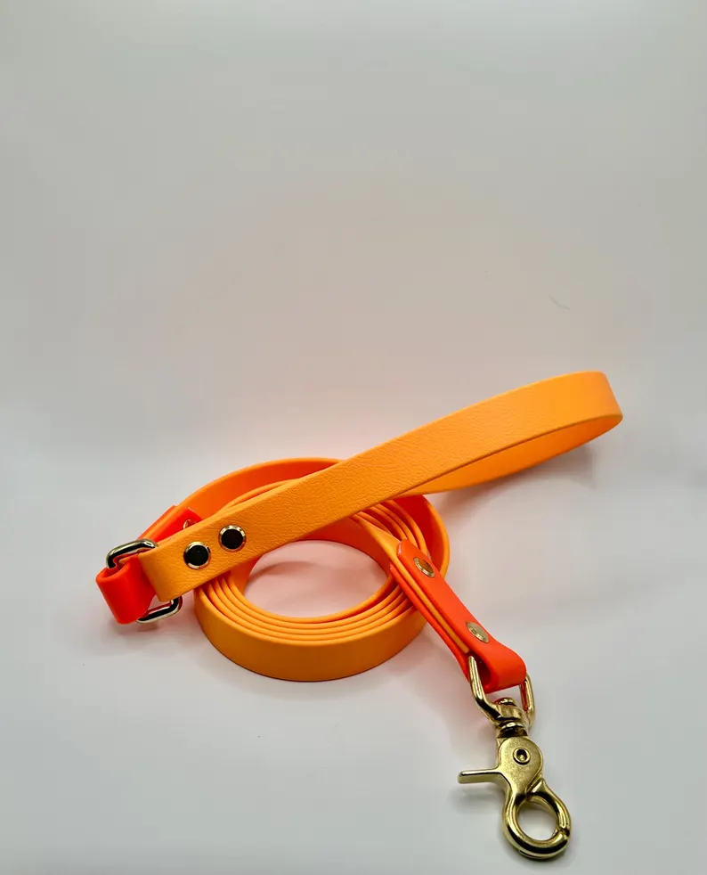 Springtime Biothane Leash