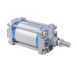 Pneumatic Cylinder