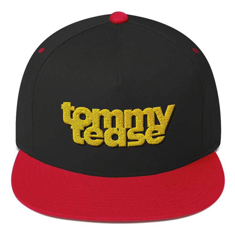 Embroidered Logo Snapback Hat