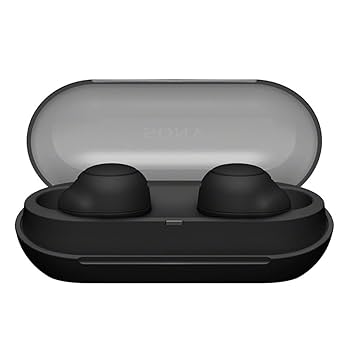 Sony WF-C500 True Wireless Earbuds