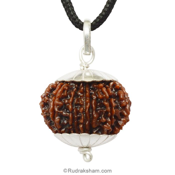 ORIGINAL RUDRAKSHAS