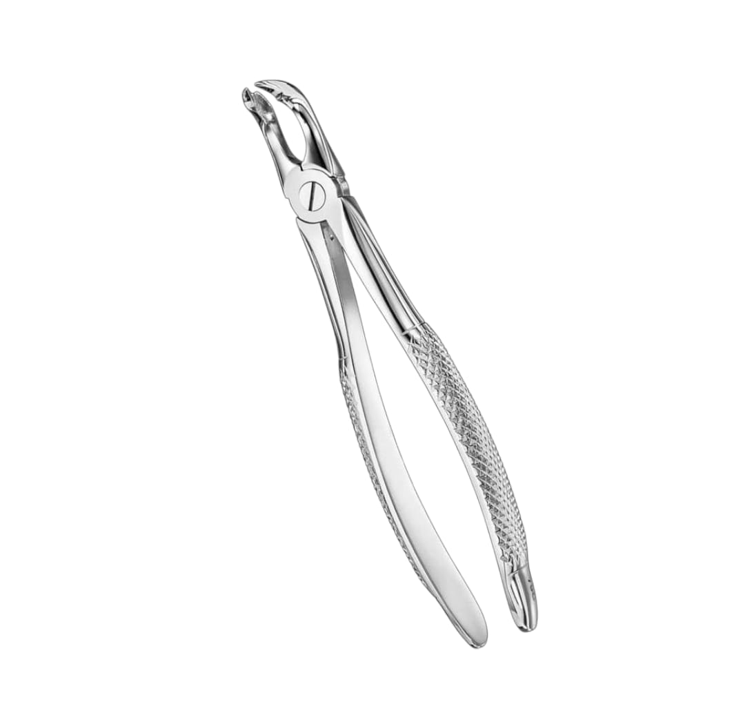 Dental Extraction Forceps
