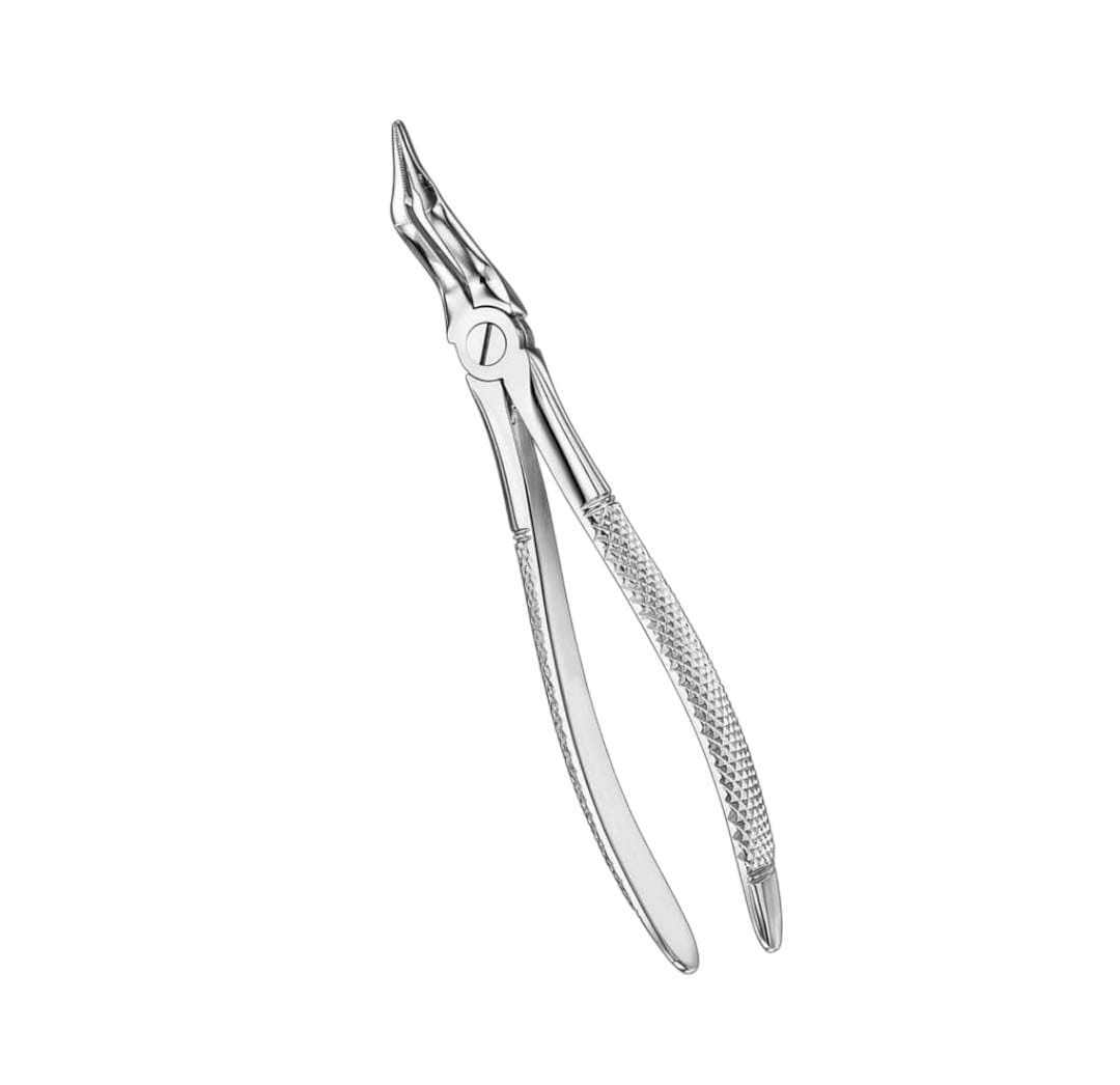 Dental Extraction Forceps