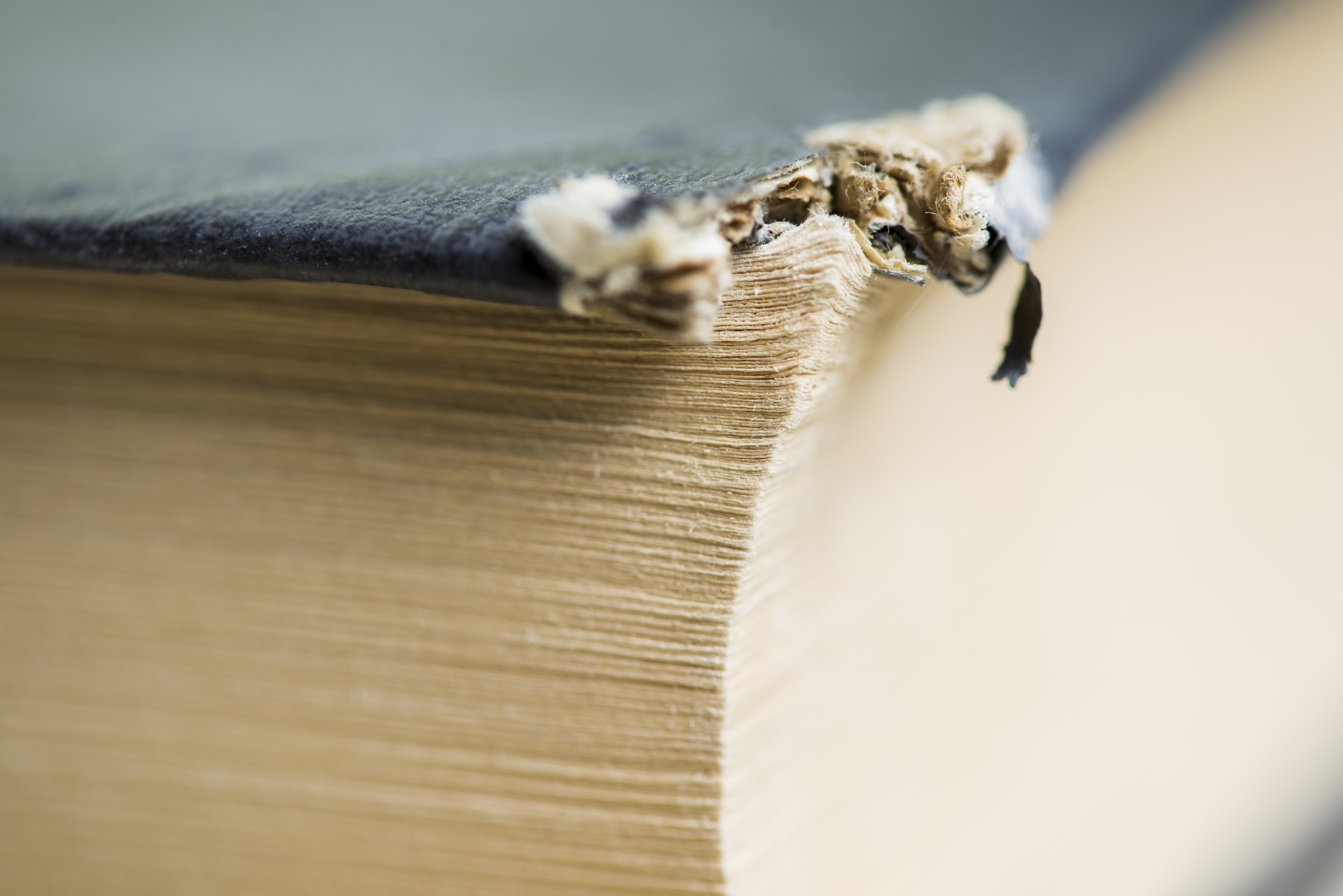 Appel devis 100% Gratuit - Restauration 