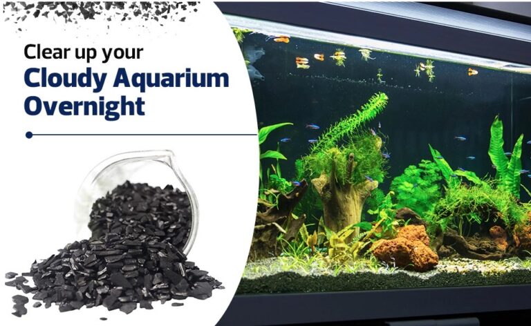 Granular Activated Coconut Shell Carbon Media (GAC) – 5 LBS | 12×40 Mesh