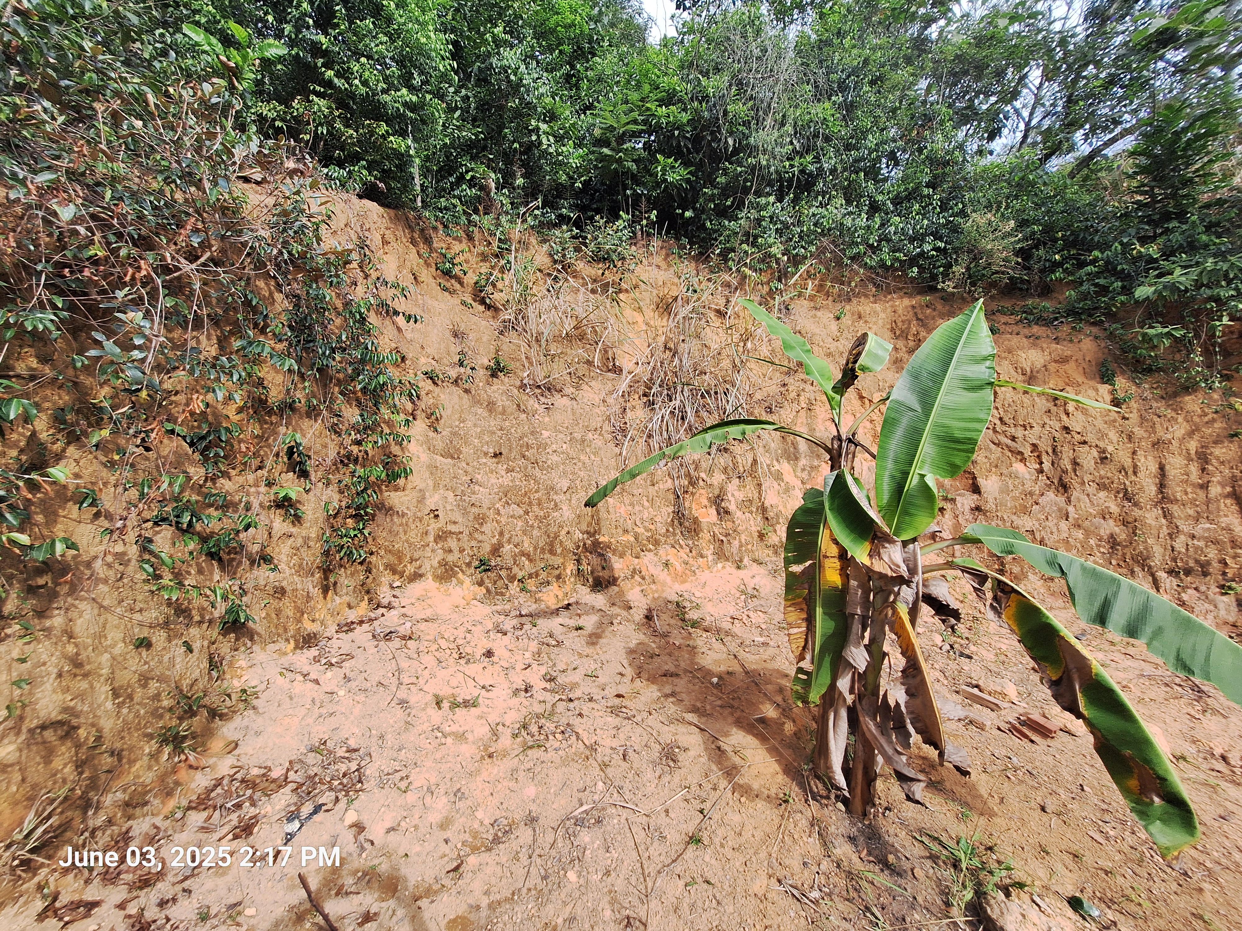 Terreno em Tinguá – 350m² próximo à Estrada Zumbi dos Palmares