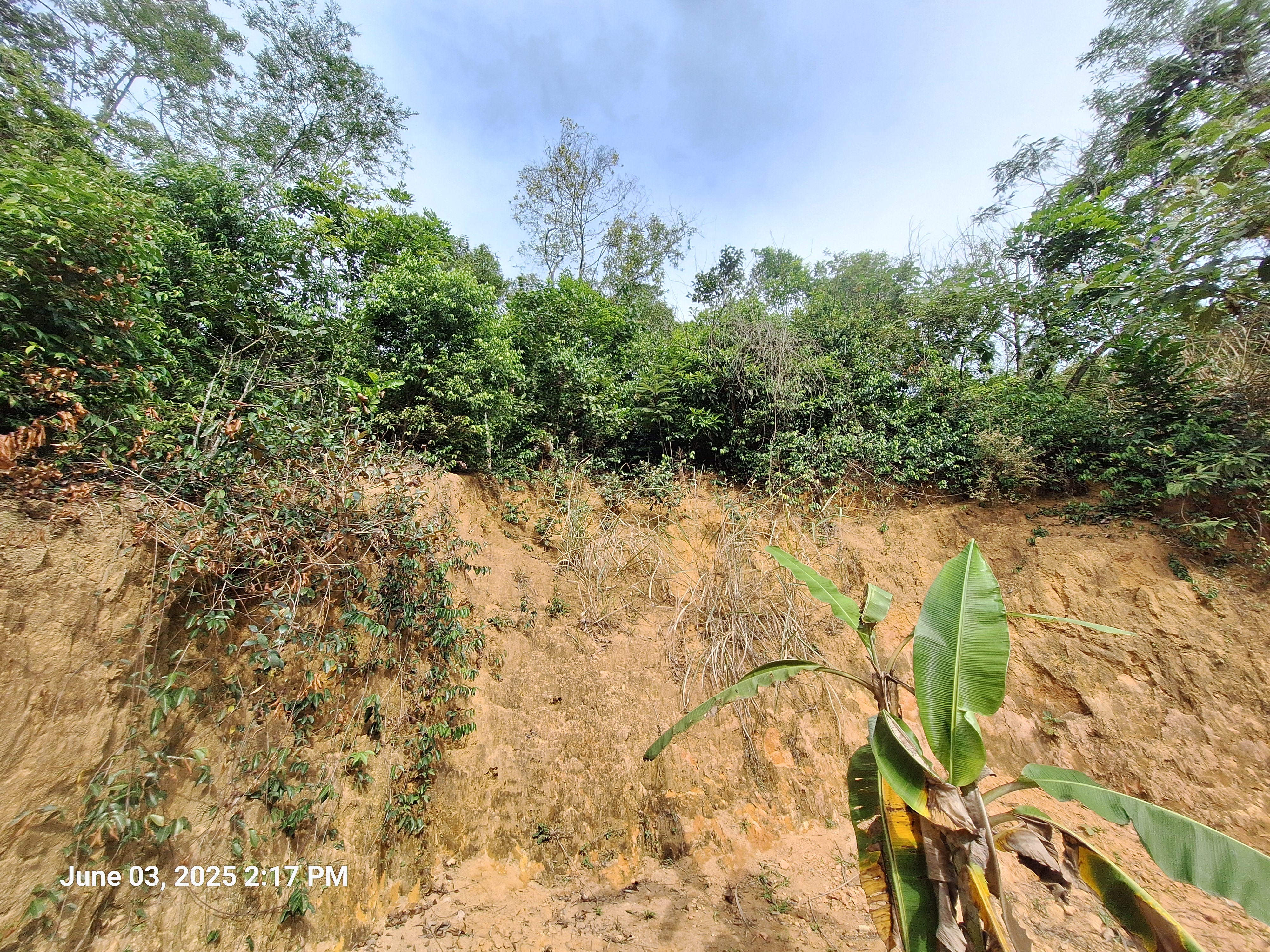 Terreno em Tinguá – 350m² próximo à Estrada Zumbi dos Palmares