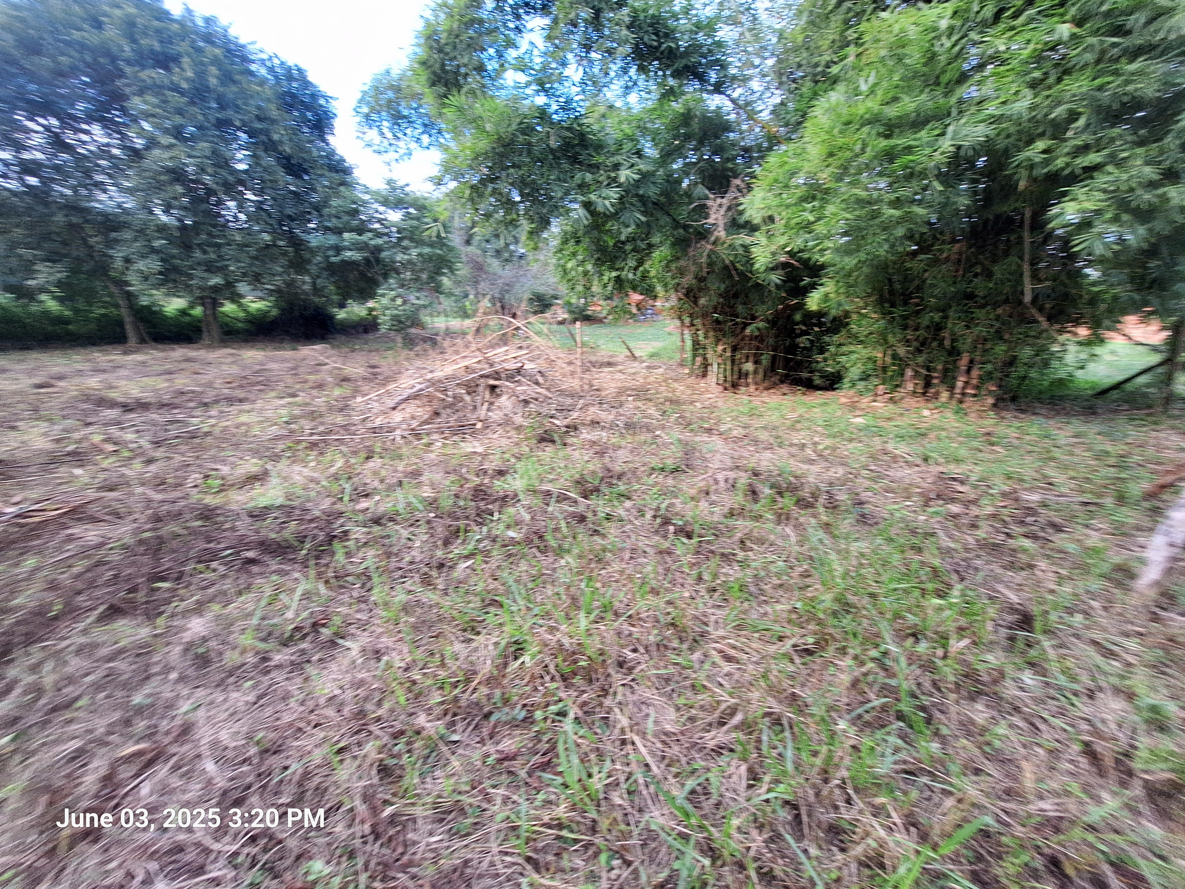 Terreno em Tinguá – Parque Estoril 1.225m²