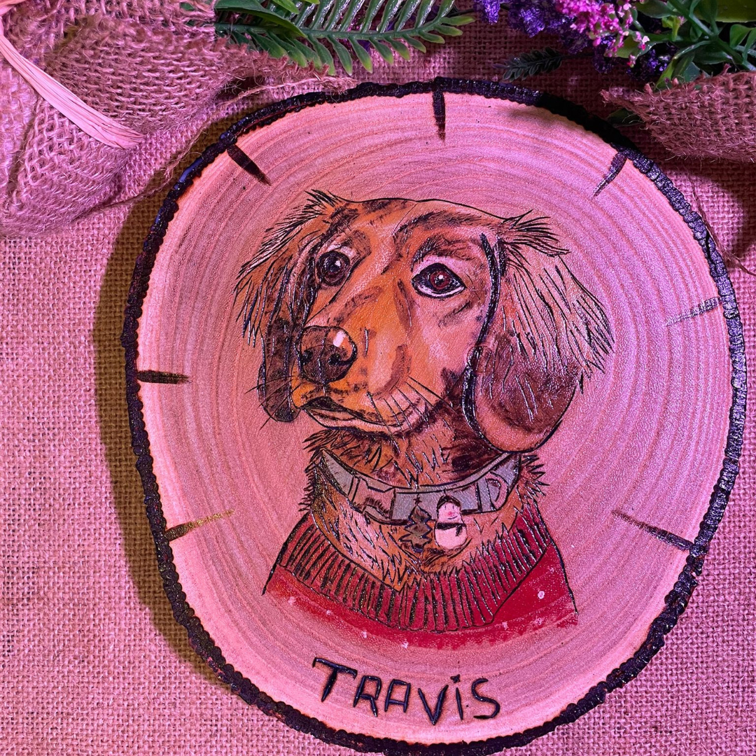 Retrato Para Mascota 20 - 25 cm