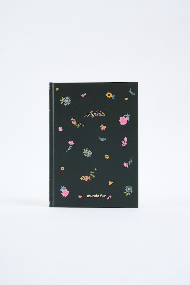 DREAMER KIT (AGENDA PERPETUA/SCKETCHBOOK/BULLET)