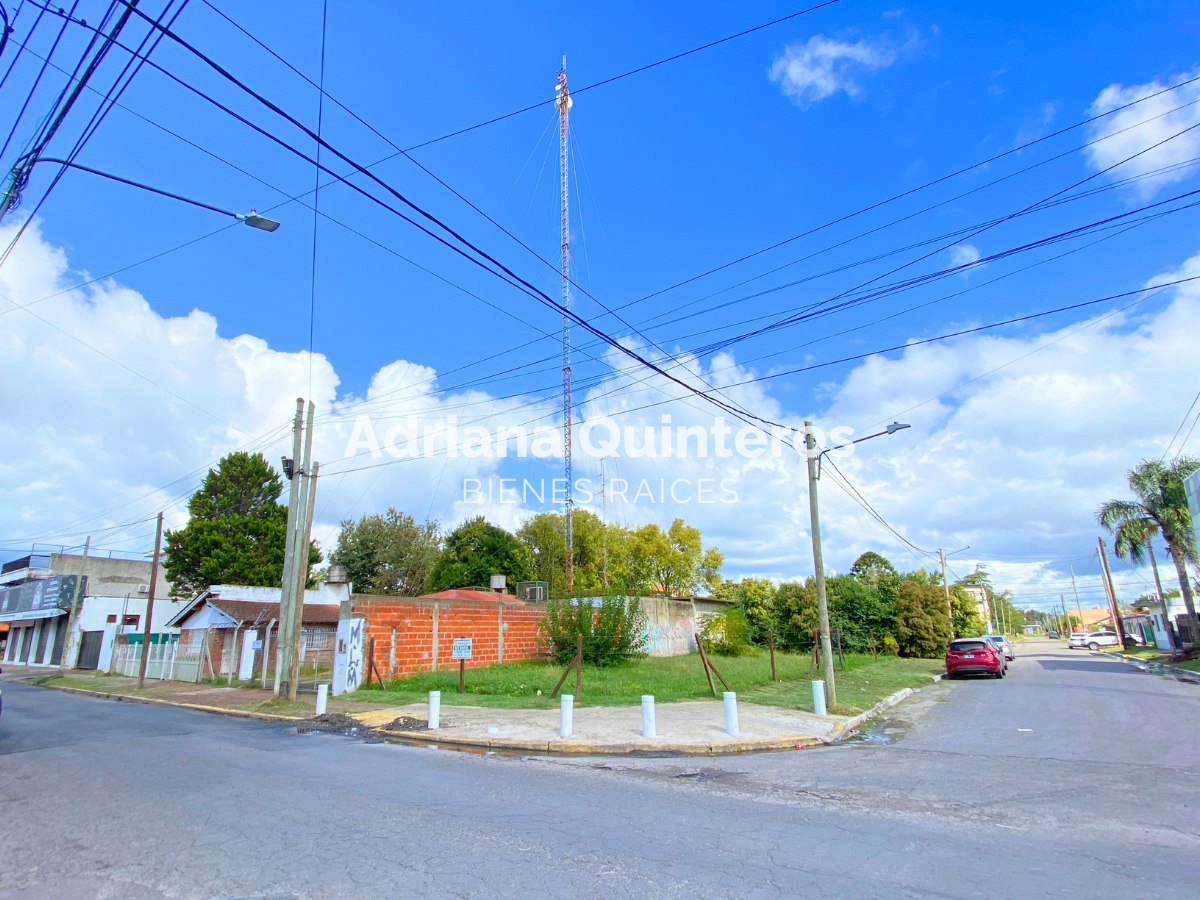 Lote 295 m²  con escritura e impuestos al dia en Villa Rosa Centro 