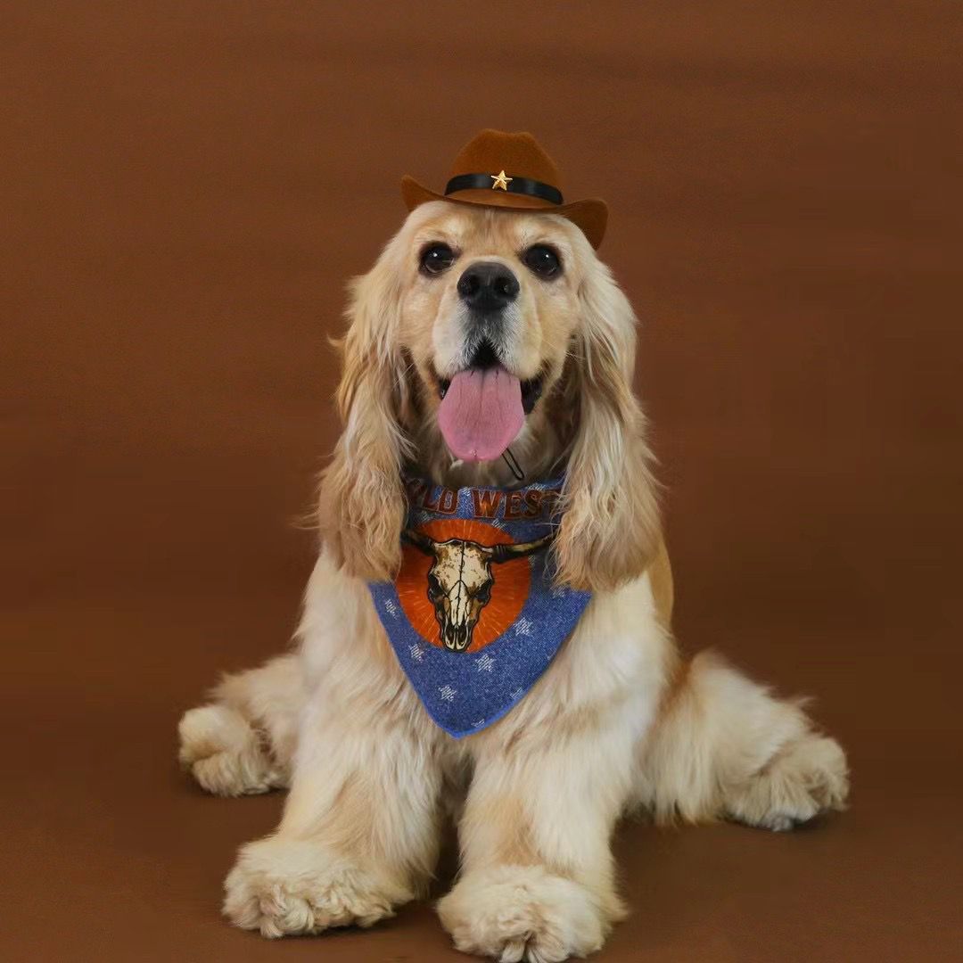 Conjunto Cowboy para Cães