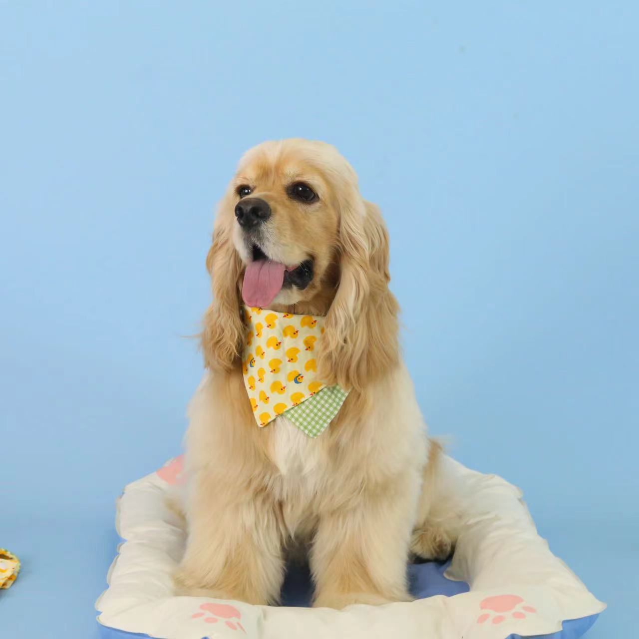 Lenço para cães com estampa de abacaxi