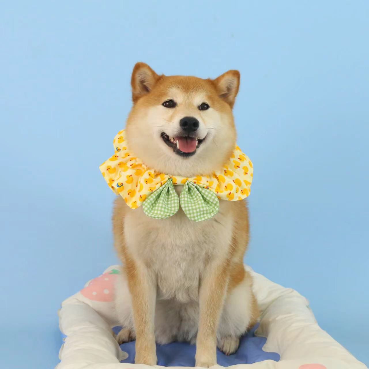 Lenço para cães com estampa de abacaxi