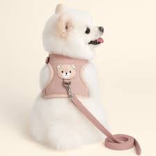 Coleira Ursinho - Peitoral para Cachorro