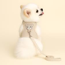 Coleira Ursinho - Peitoral para Cachorro