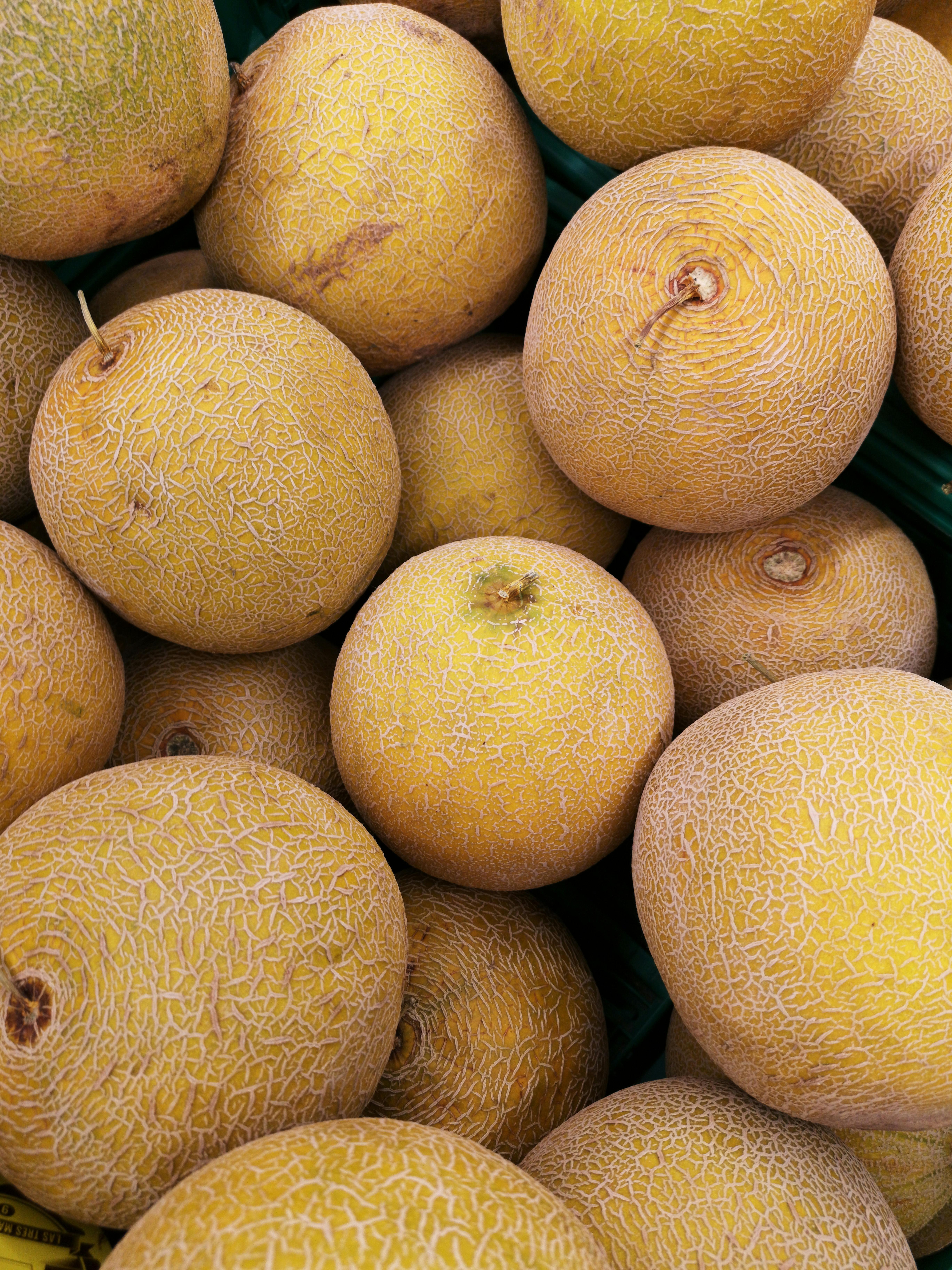 🍈 Melón