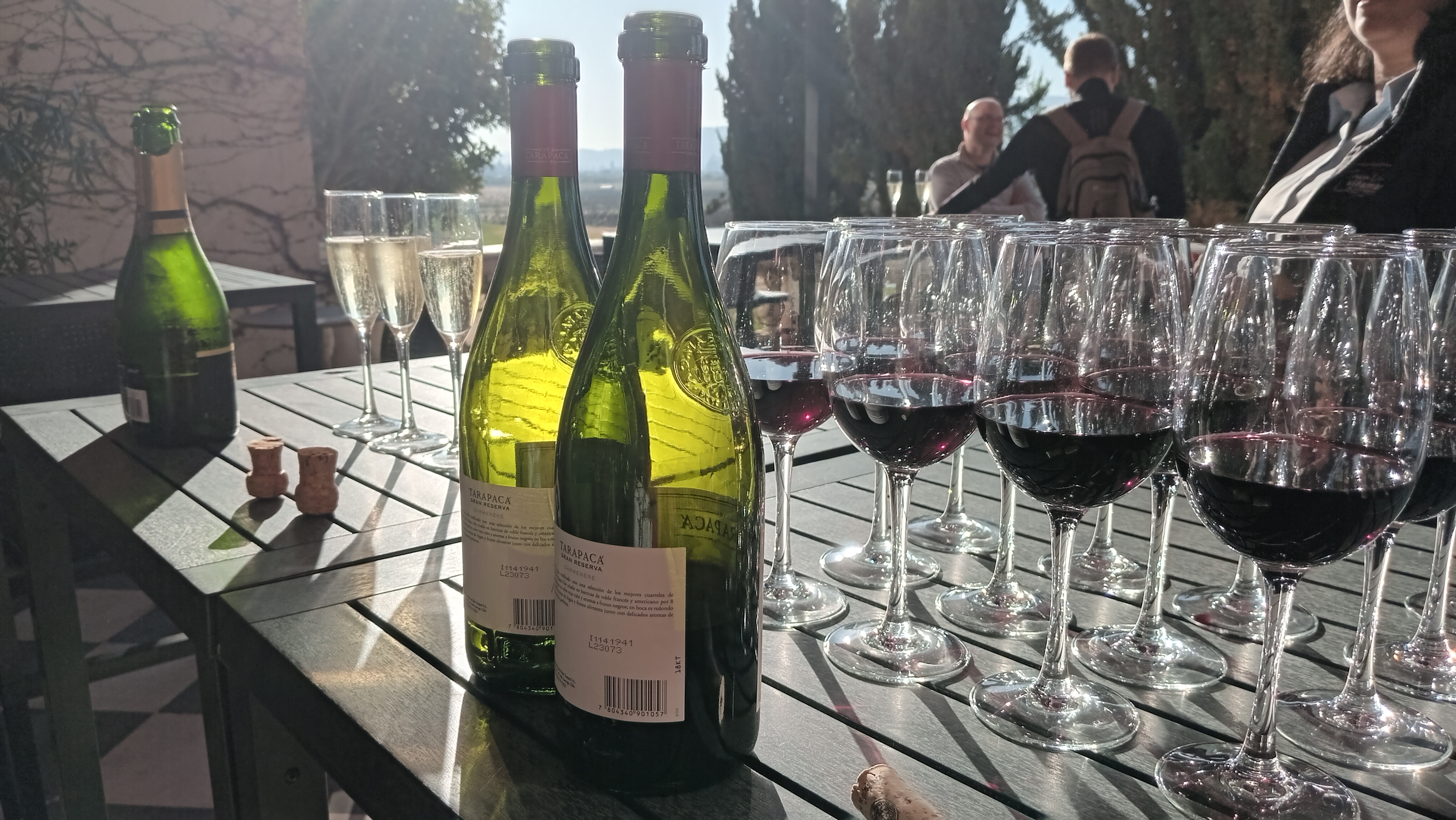 Wine tour Casablanca 3 vineyards