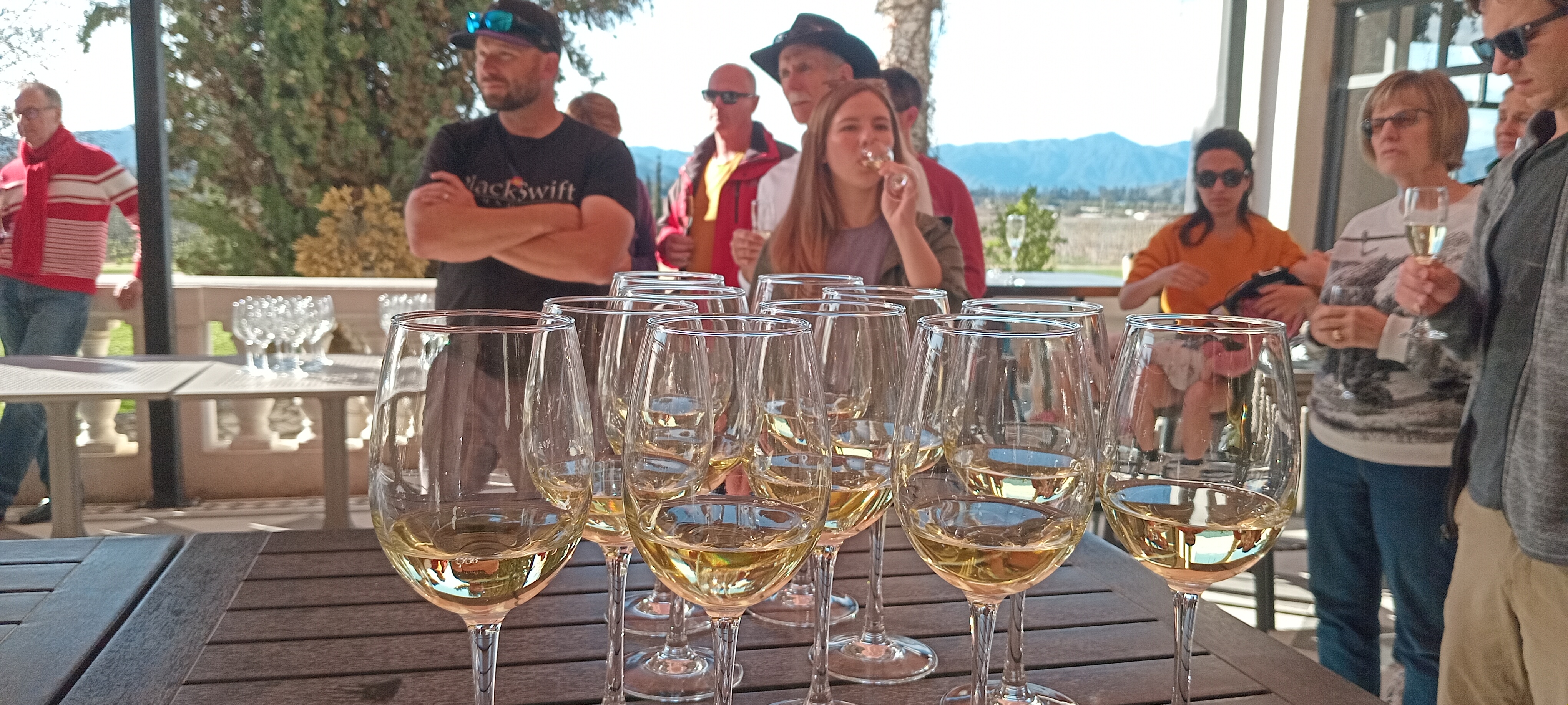 Wine tour Casablanca 3 vineyards