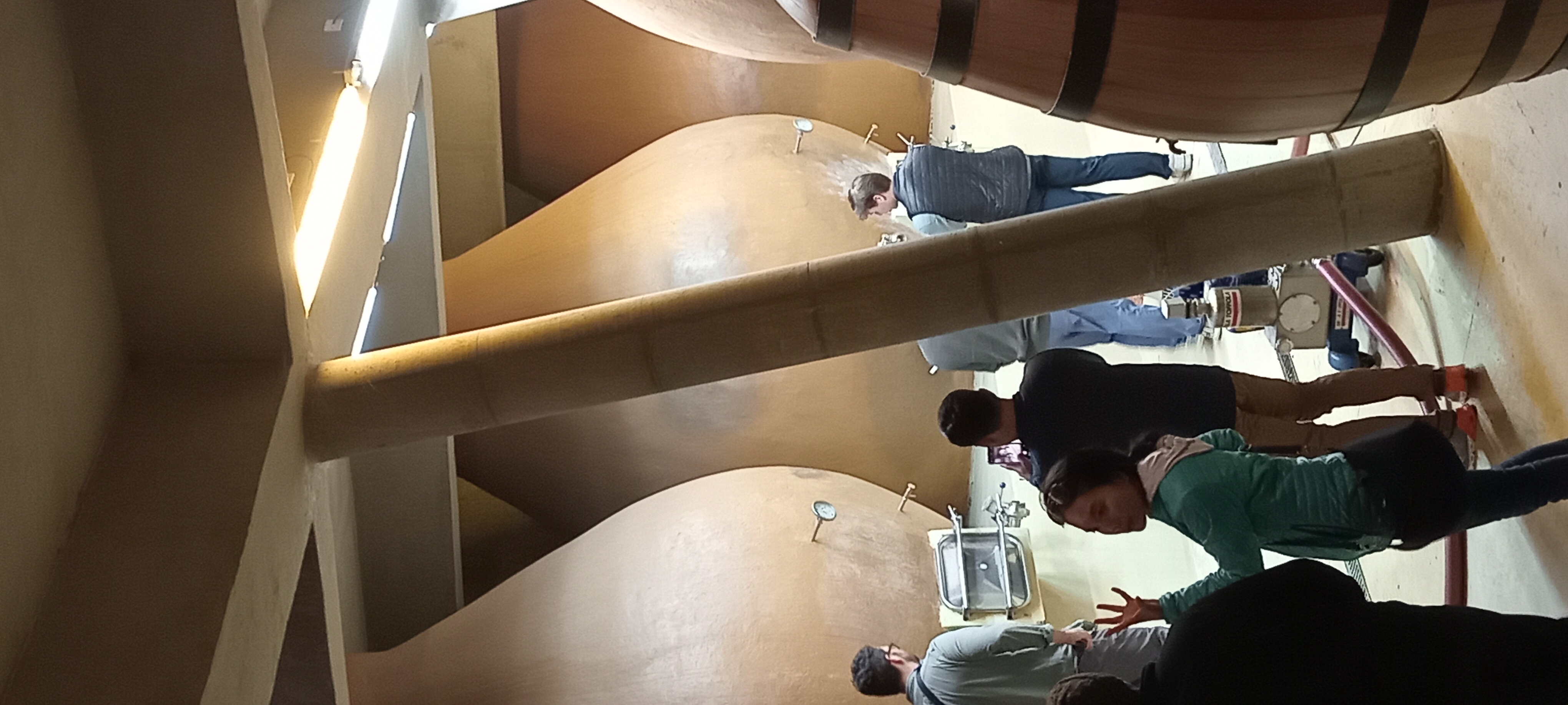 Wine tour Casablanca 3 vineyards