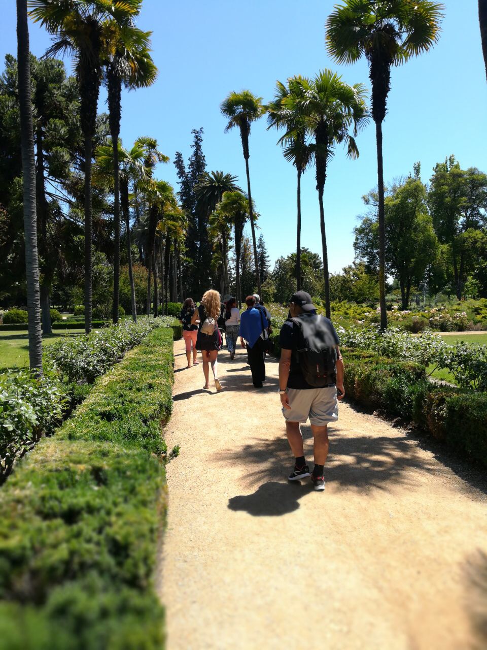 Wine Tour - Maipo valley 3 vineyards