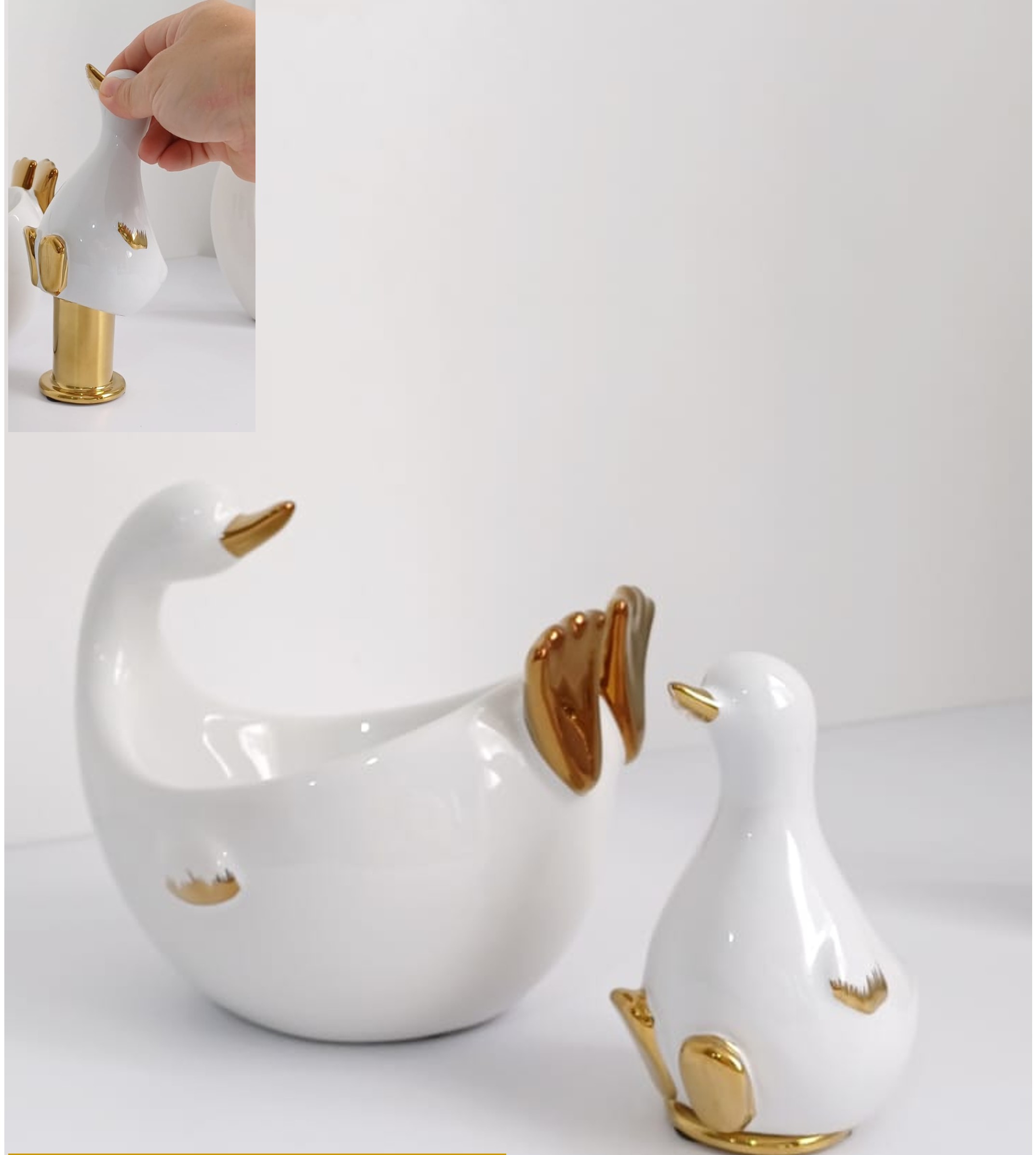 Base cisne