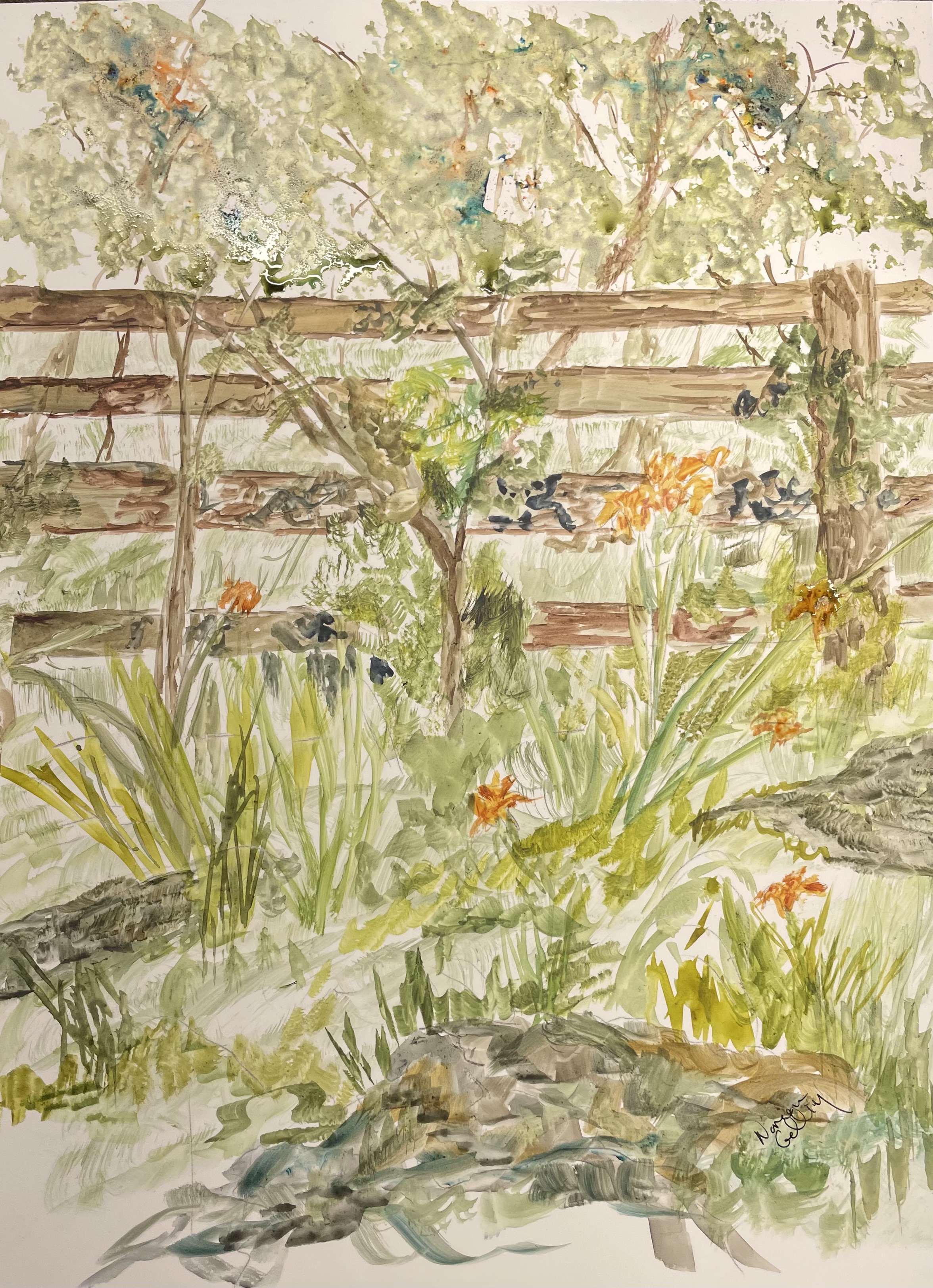 Lillies In the Field