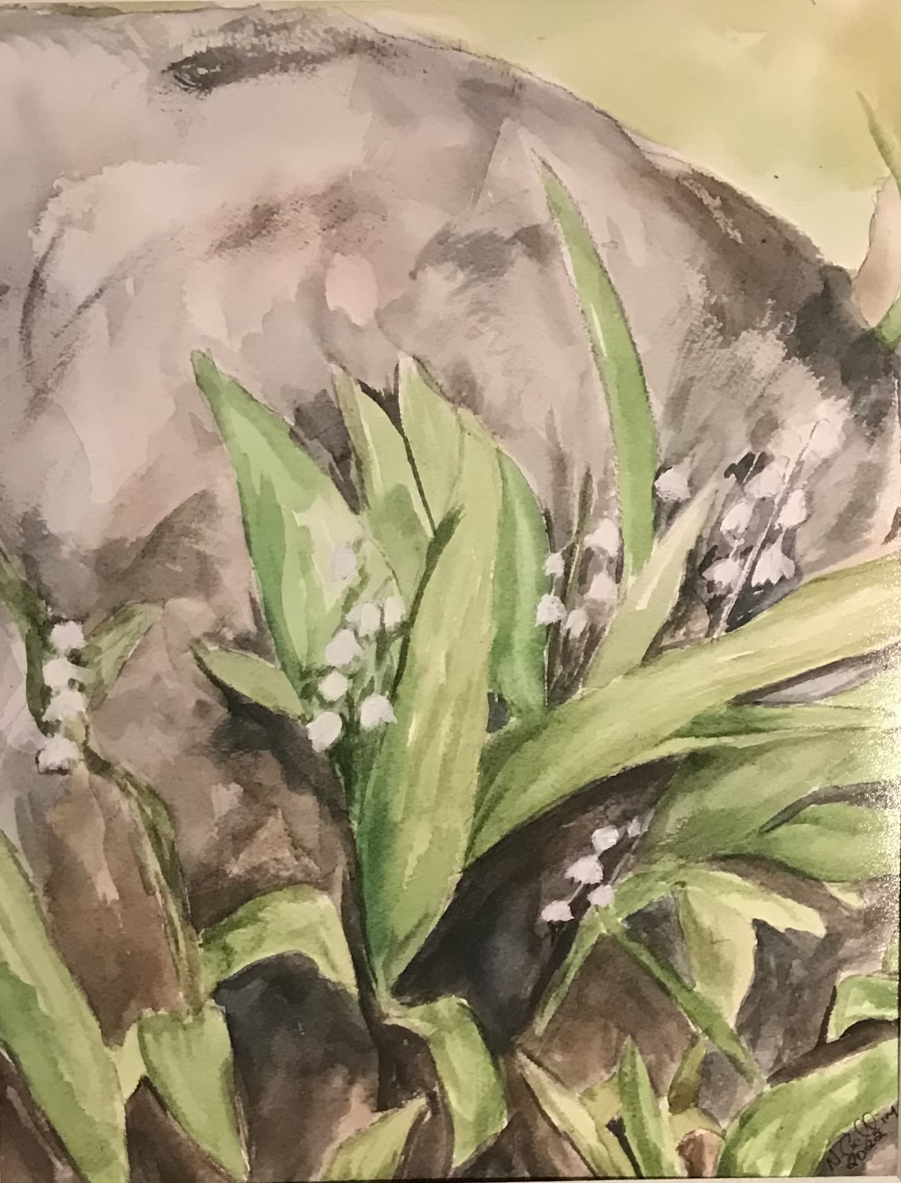 Lily of the Valley