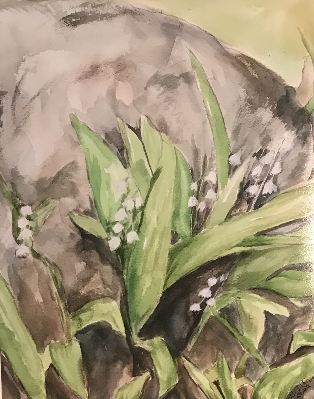 Lily of the Valley