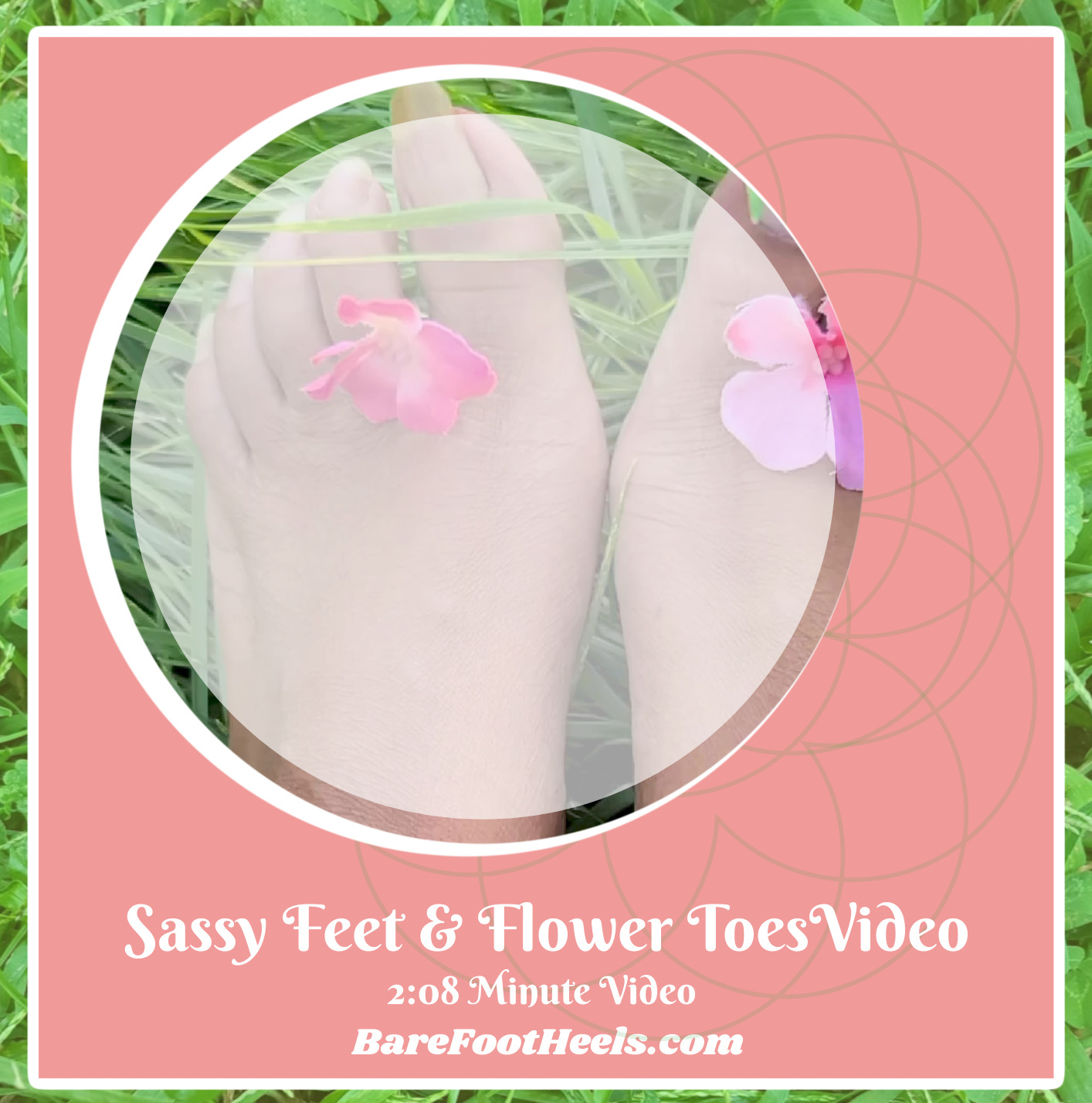Sassy Feet & Flower Toes Video
