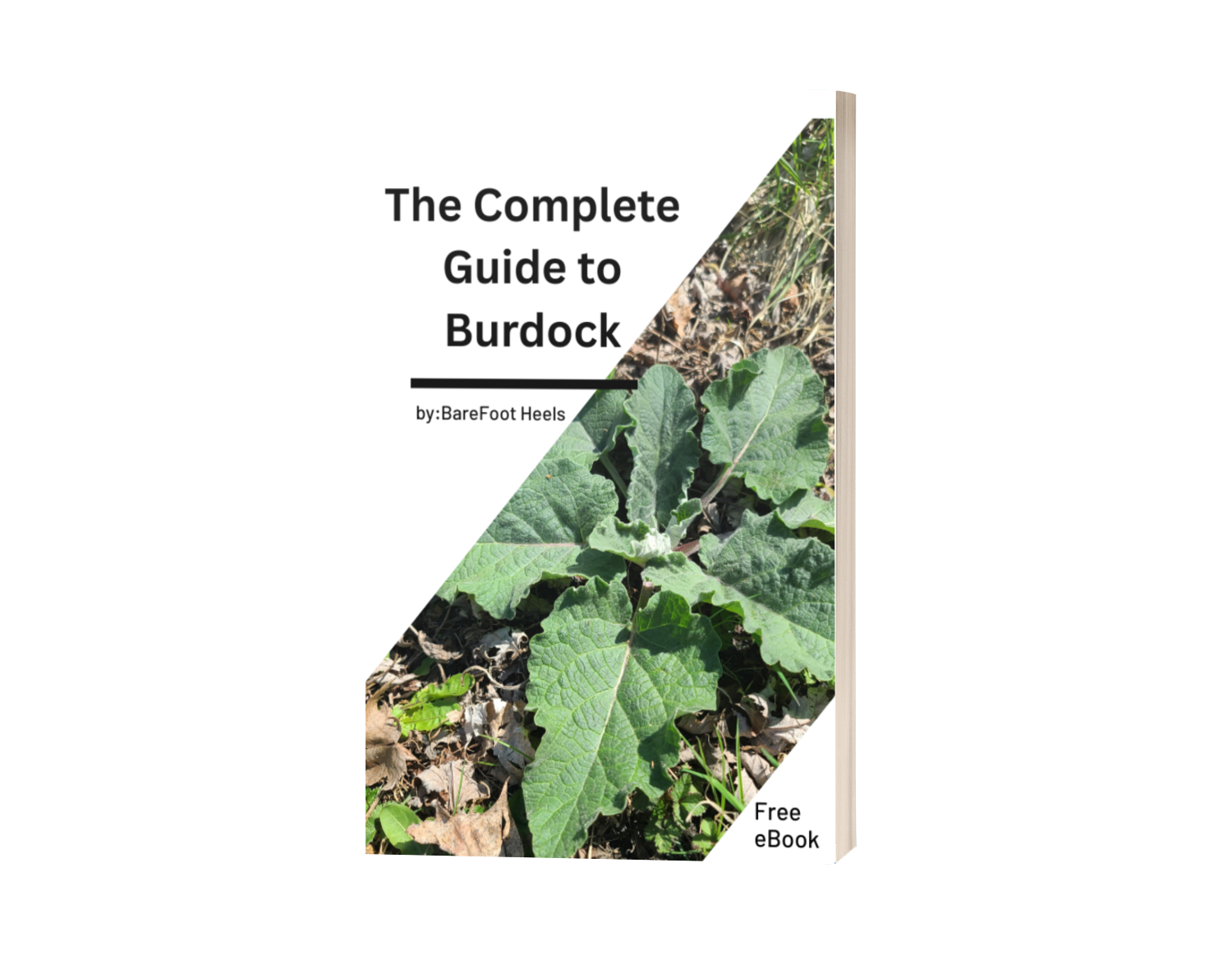 The Complete Guide to Burdock EBook