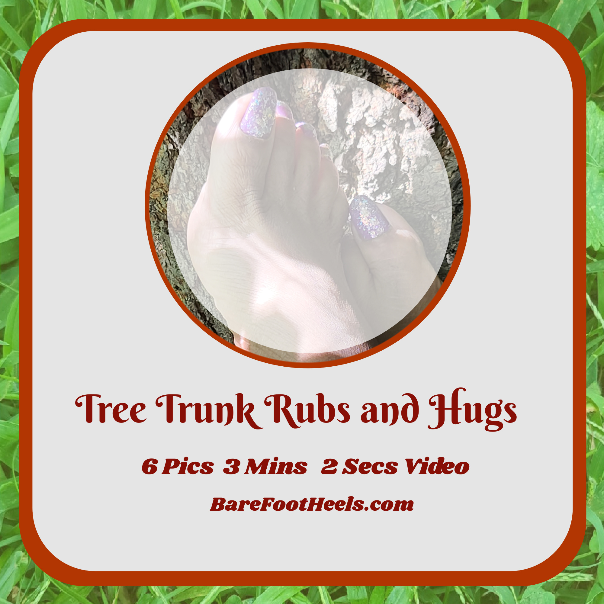 Tree Trunk Rubs and Hugs Picture and Video