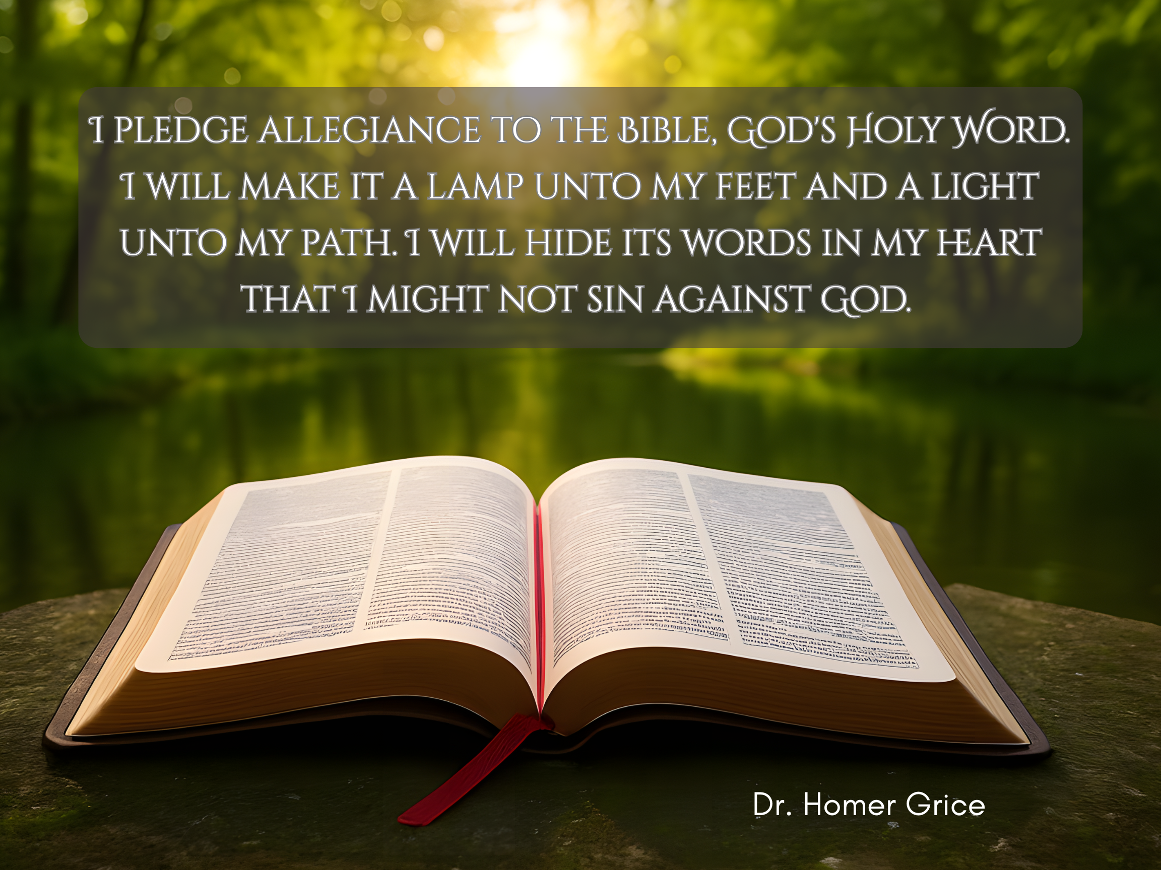 Bible Pledge by Dr. Homer Grice Wall Art Poster 24 x 18 inches Digital Printable