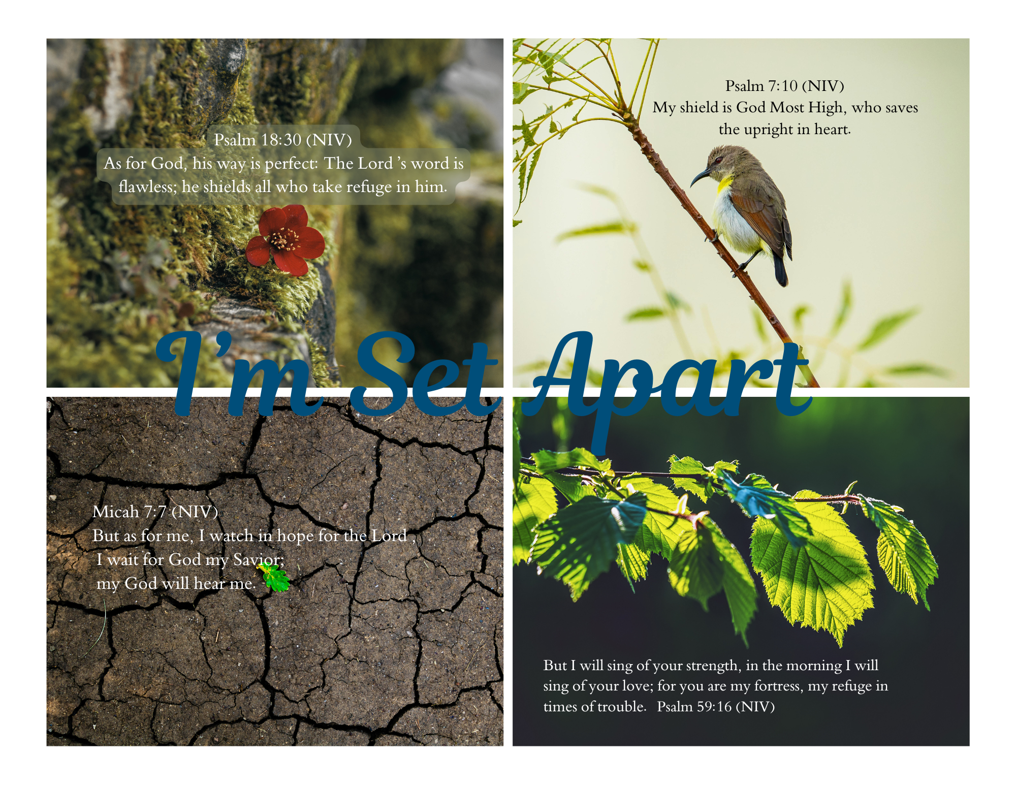 Scripture Mini Cards God's Protection Bundle of 24 Printable PDF Download