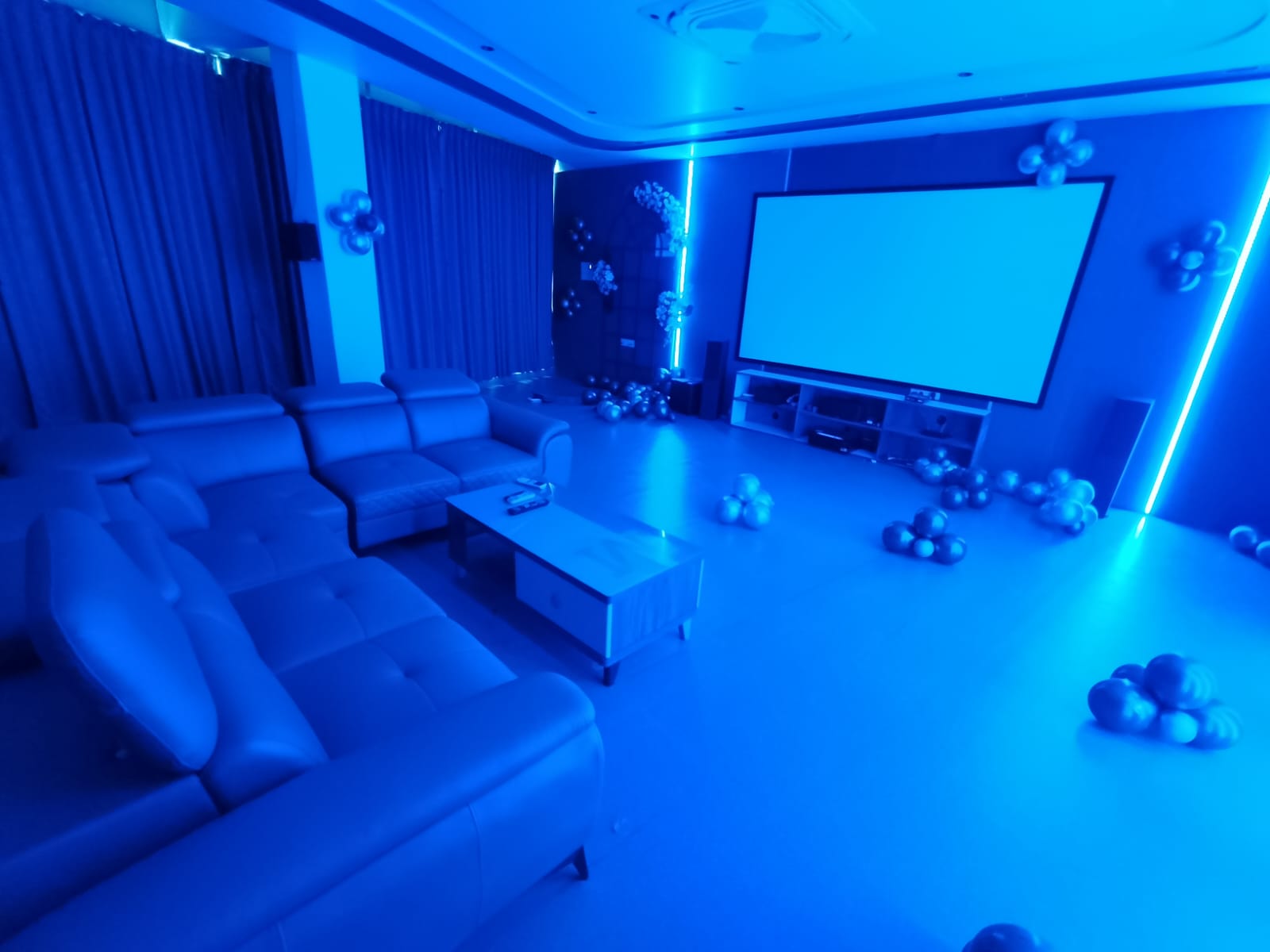 Group of 12 to 15 Ultimate Party Zone Theater (Dolby Atmos 4k Vision) 