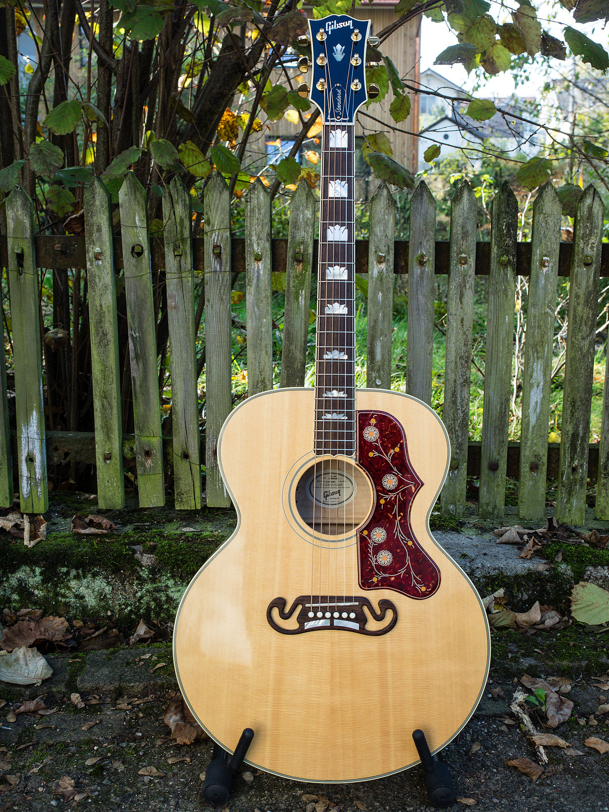 Folk Guitar X Gibson SJ-200 Acoustic Guitar : DWP Instrument