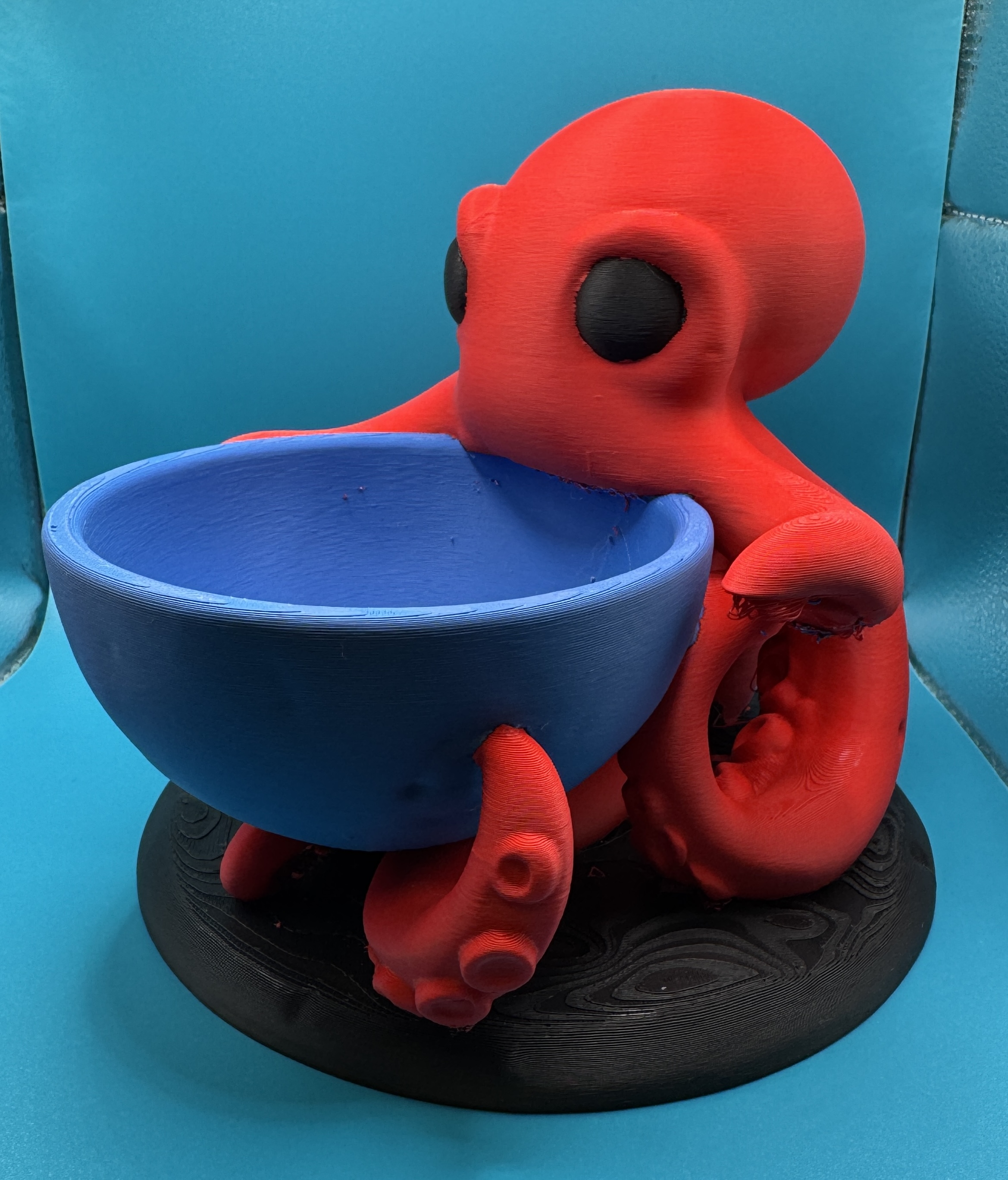 Pulpo Guardacosas 🐙