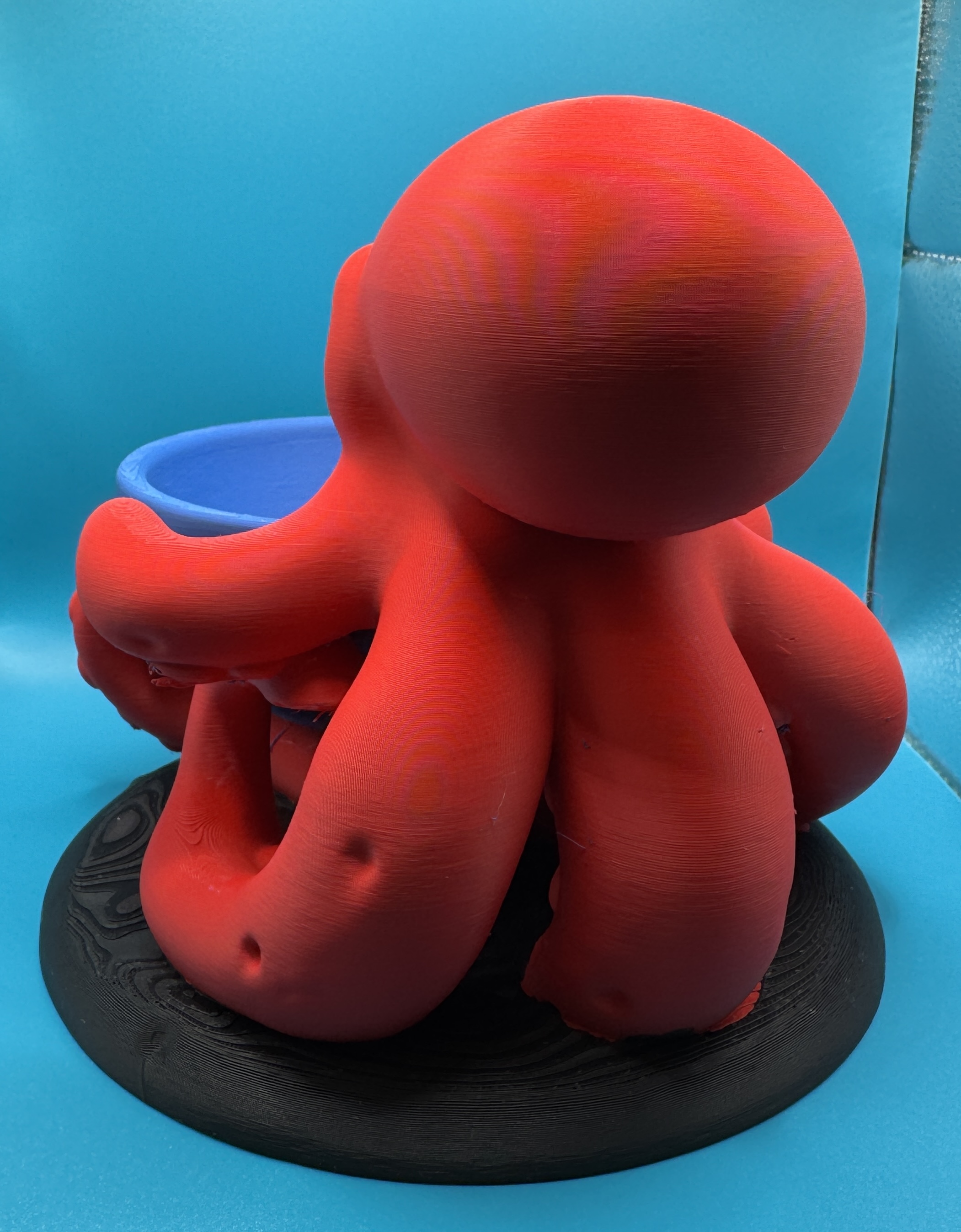 Pulpo Guardacosas 🐙