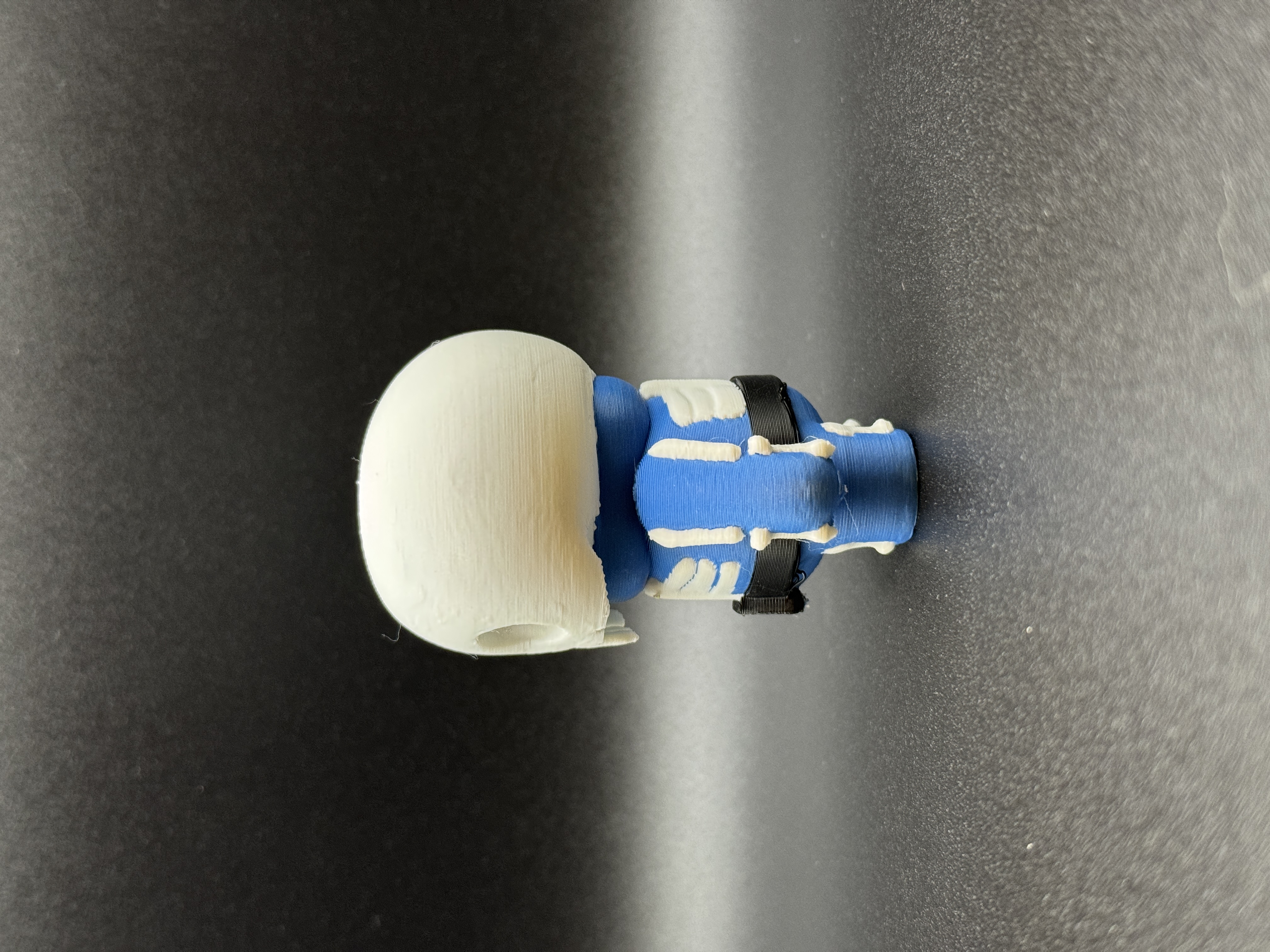 💀 Bloop Esqueleto - Edición Halloween