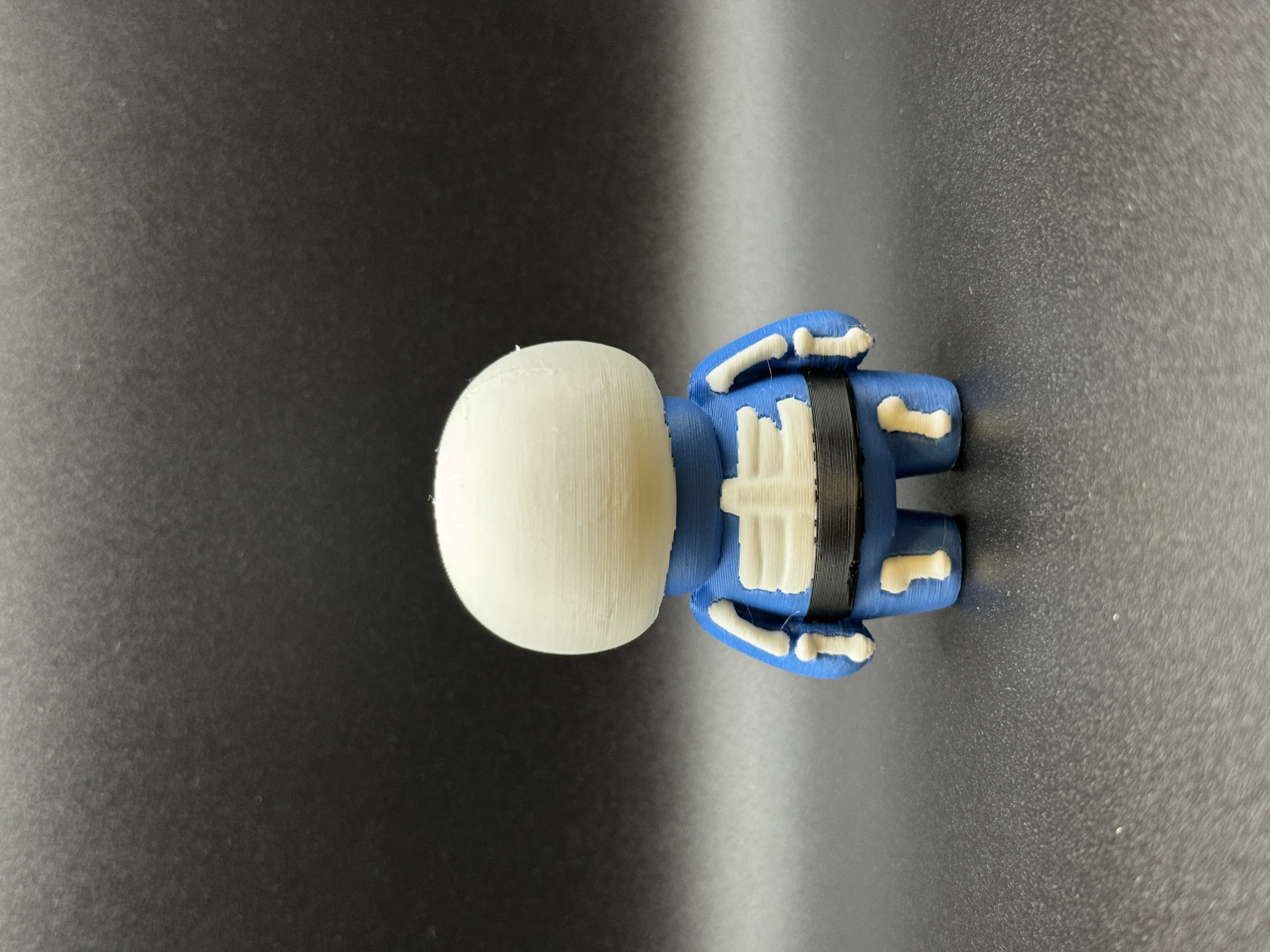 💀 Bloop Esqueleto - Edición Halloween