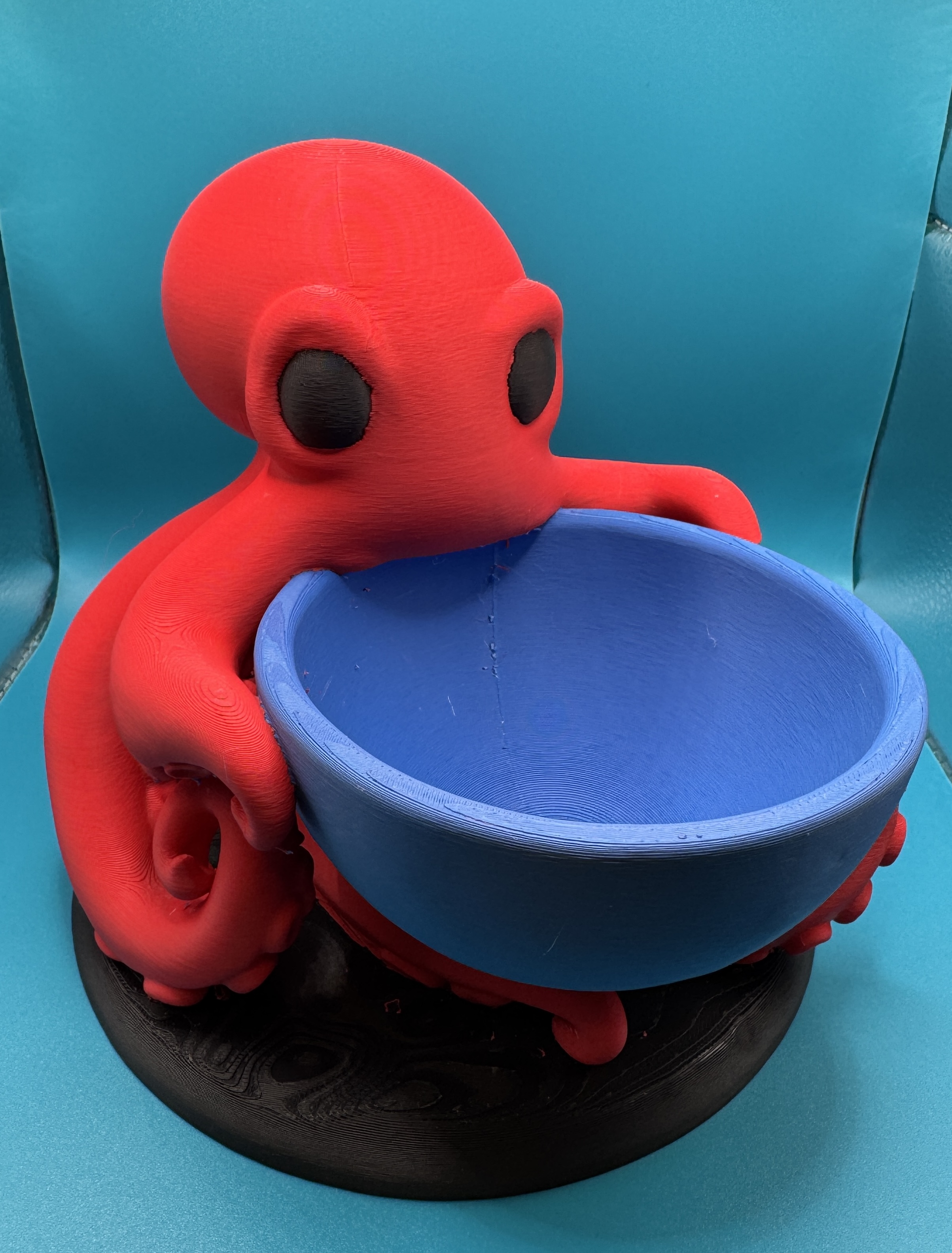 Pulpo Guardacosas 🐙