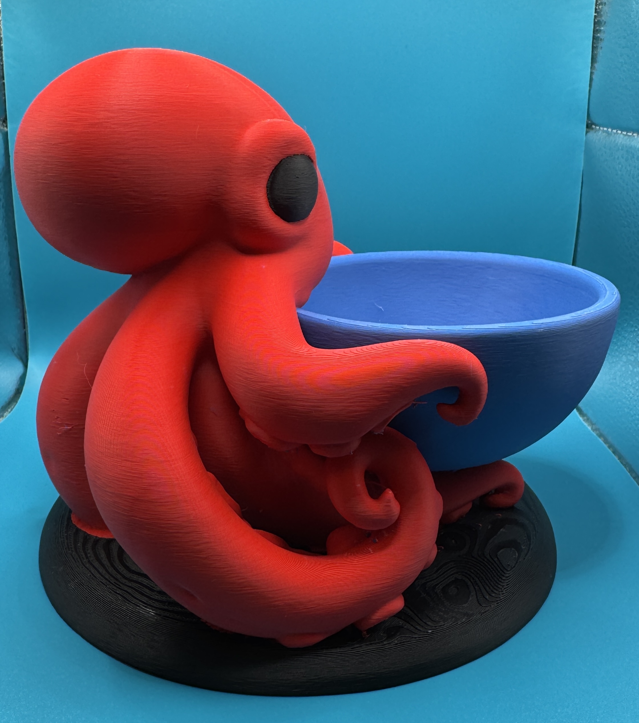 Pulpo Guardacosas 🐙