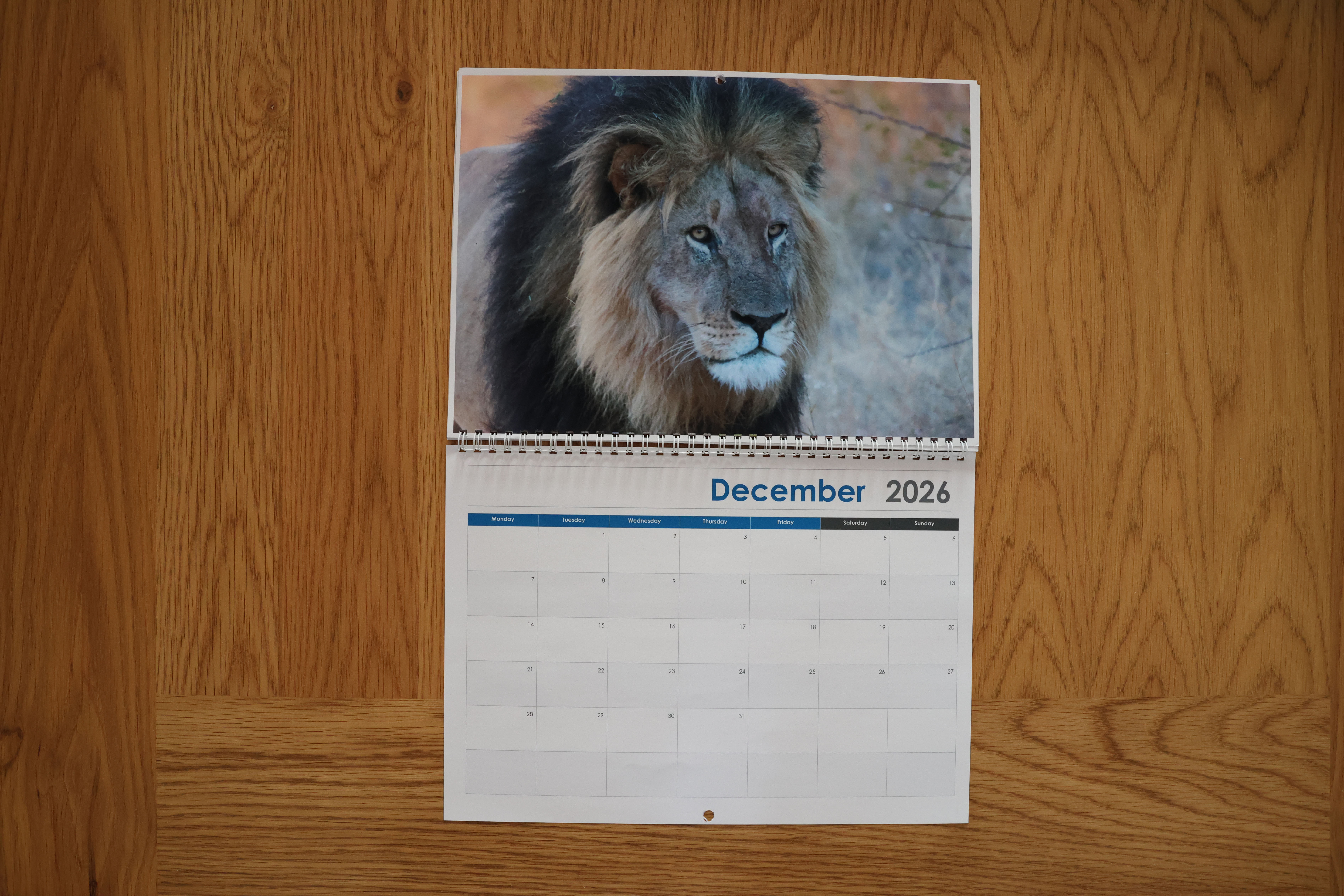 South Africa Calendar 2026