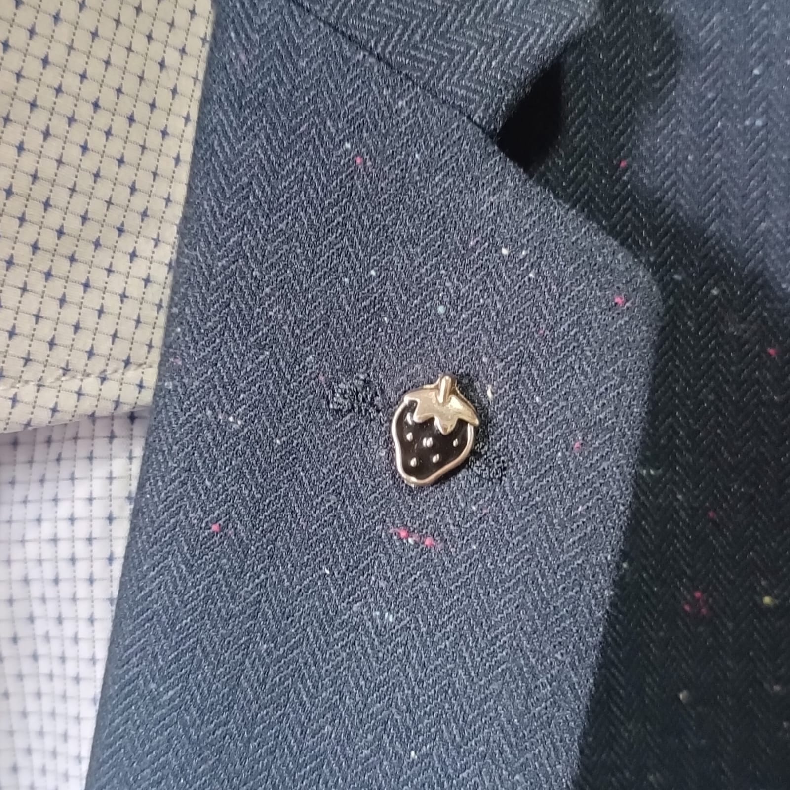 Pin de fresa elegante