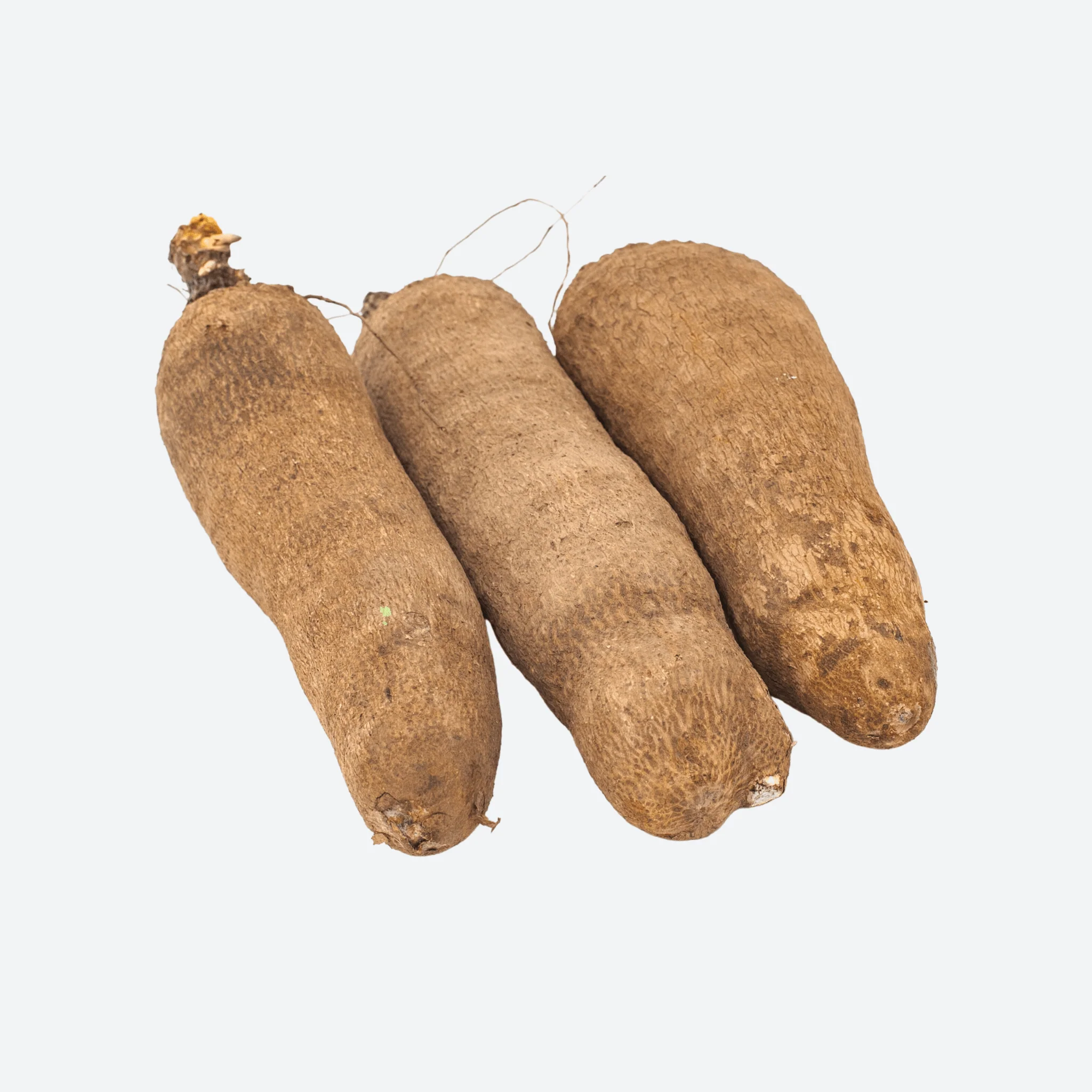 Fresh Yam Root
