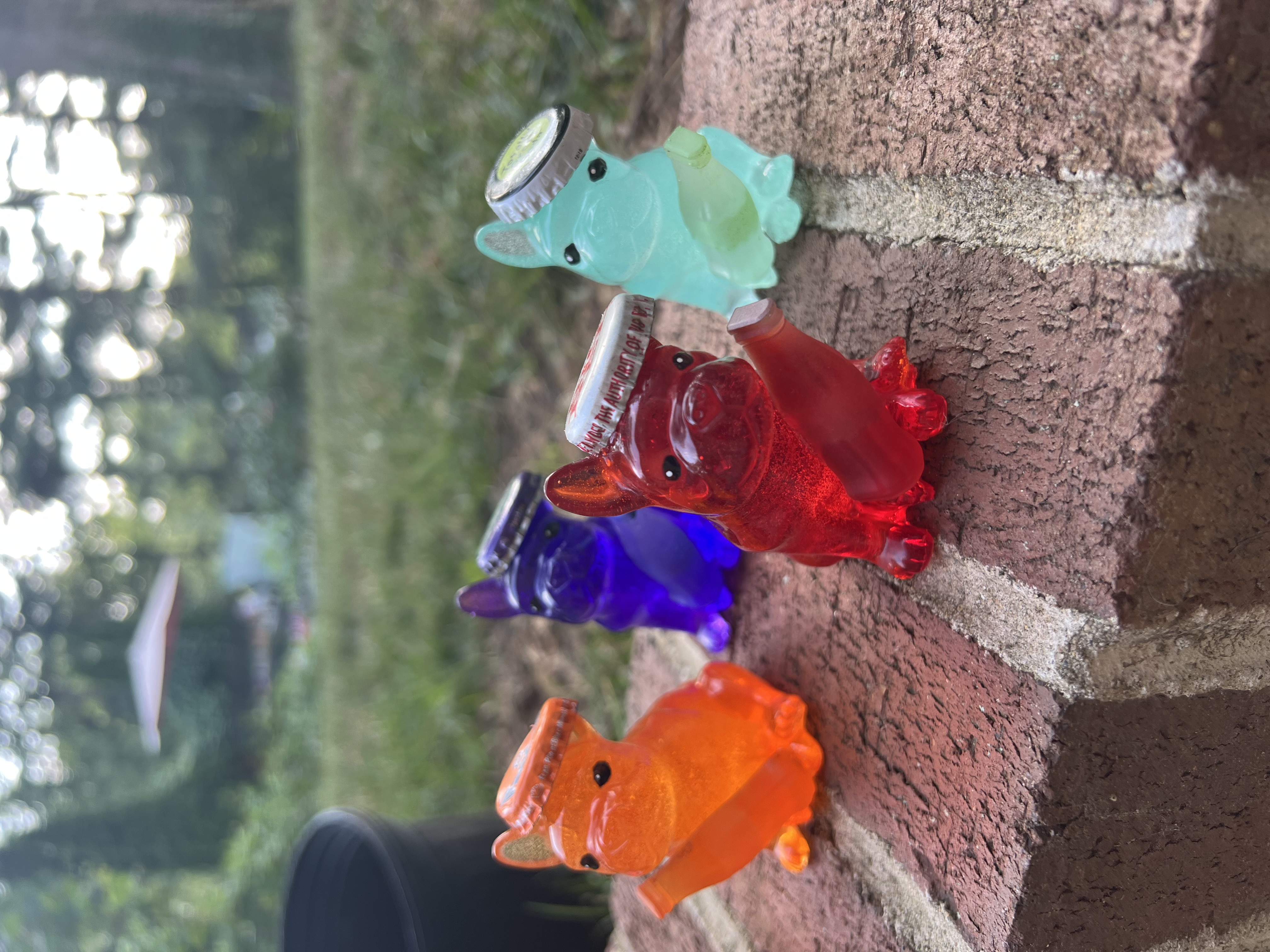 Bottle Cap Hat Frenchies