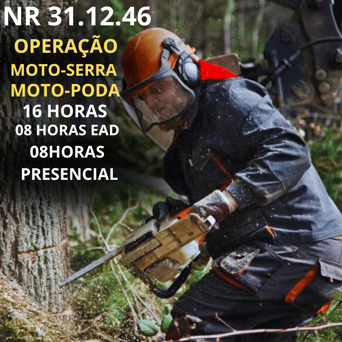 NR 31.12.46 – Operação de Moto-Serra e Moto-Poda 
