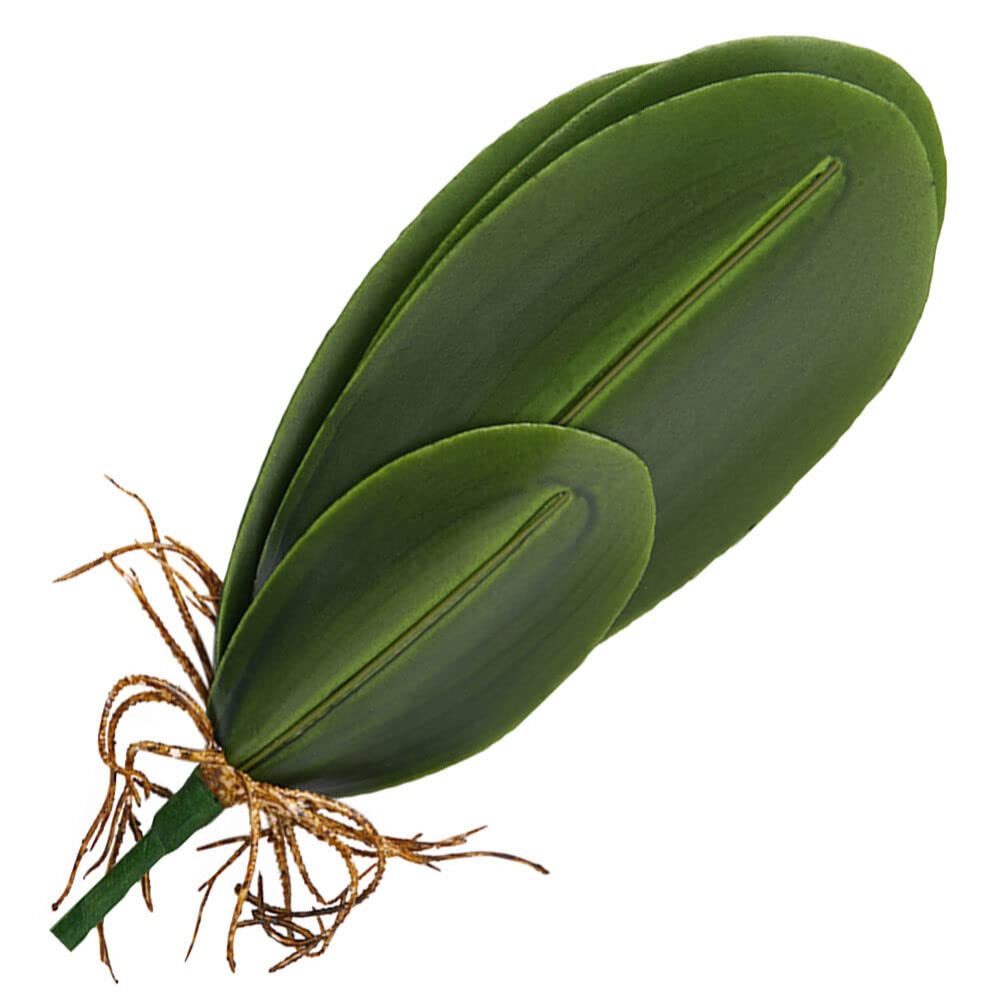Folha de Orquídea Grande