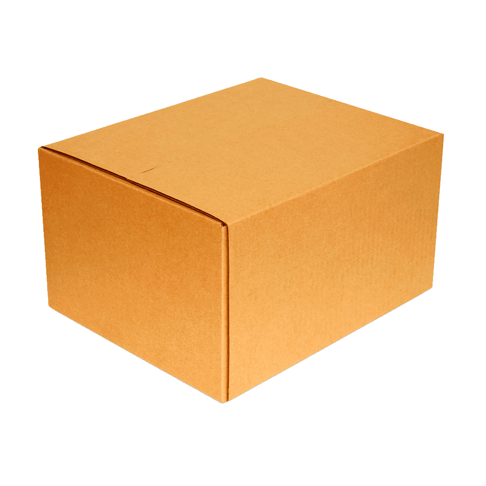 Caixa Embalagem Correios 13,5x29x23,5cm 