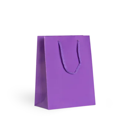 Bolsa de Papel Lisa CORES Pequena com 10 un.